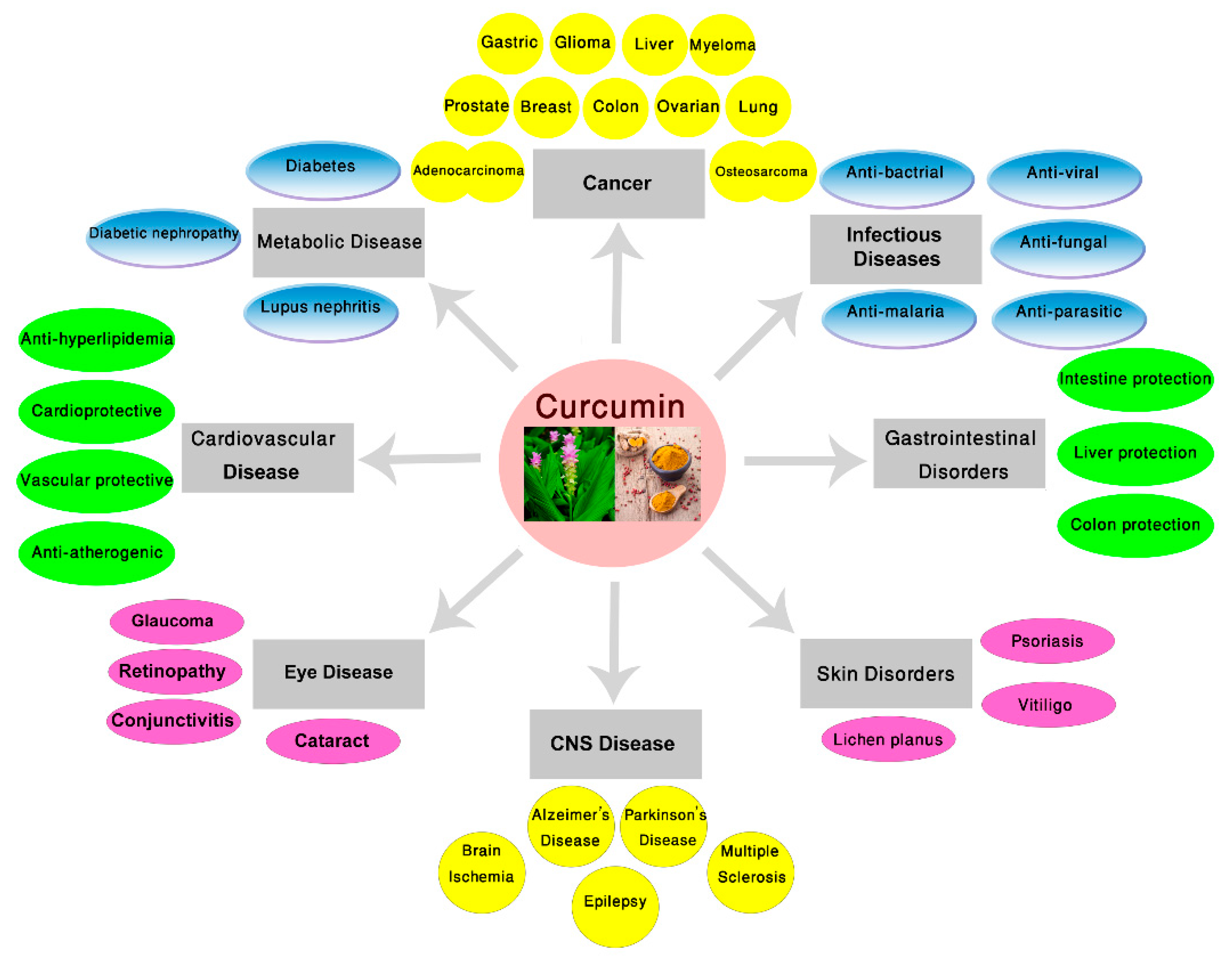 Ijms 21 06619 g001 Ijms 21 06619 g001