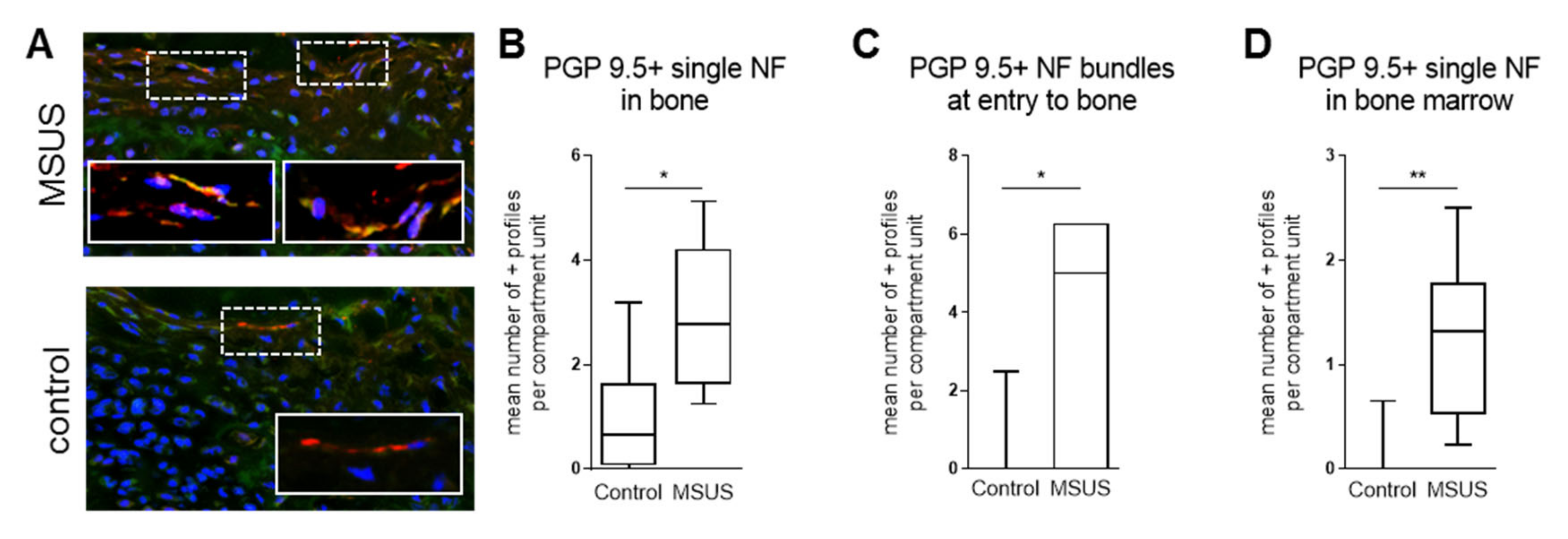 Ijms 21 06634 g003 Ijms 21 06634 g003