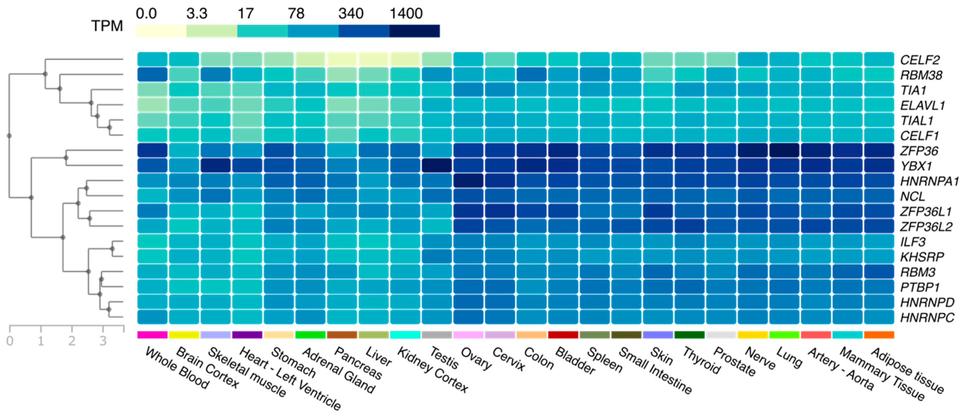 Ijms 21 06648 g002 Ijms 21 06648 g002