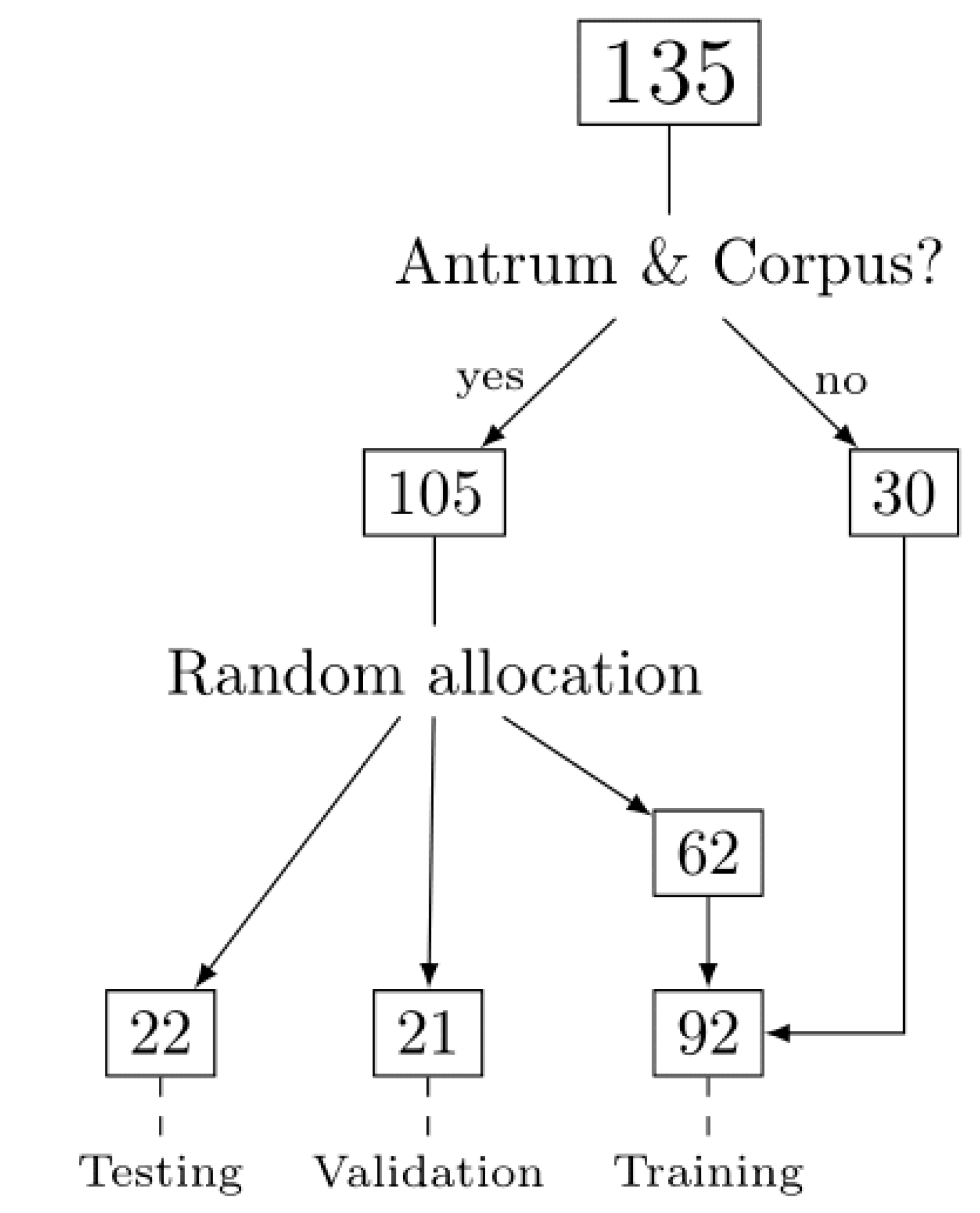 Ijms 21 06652 g001 Ijms 21 06652 g001