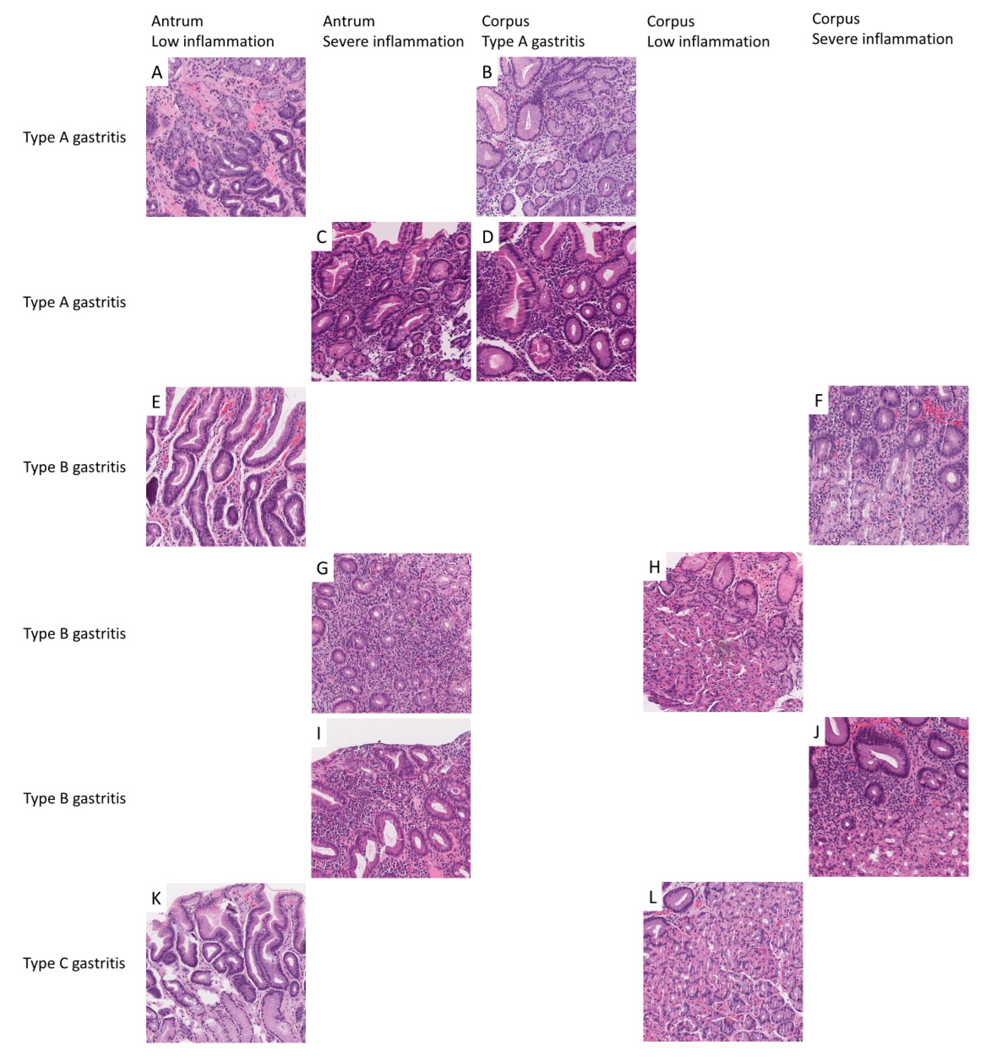 Ijms 21 06652 g007 Ijms 21 06652 g007