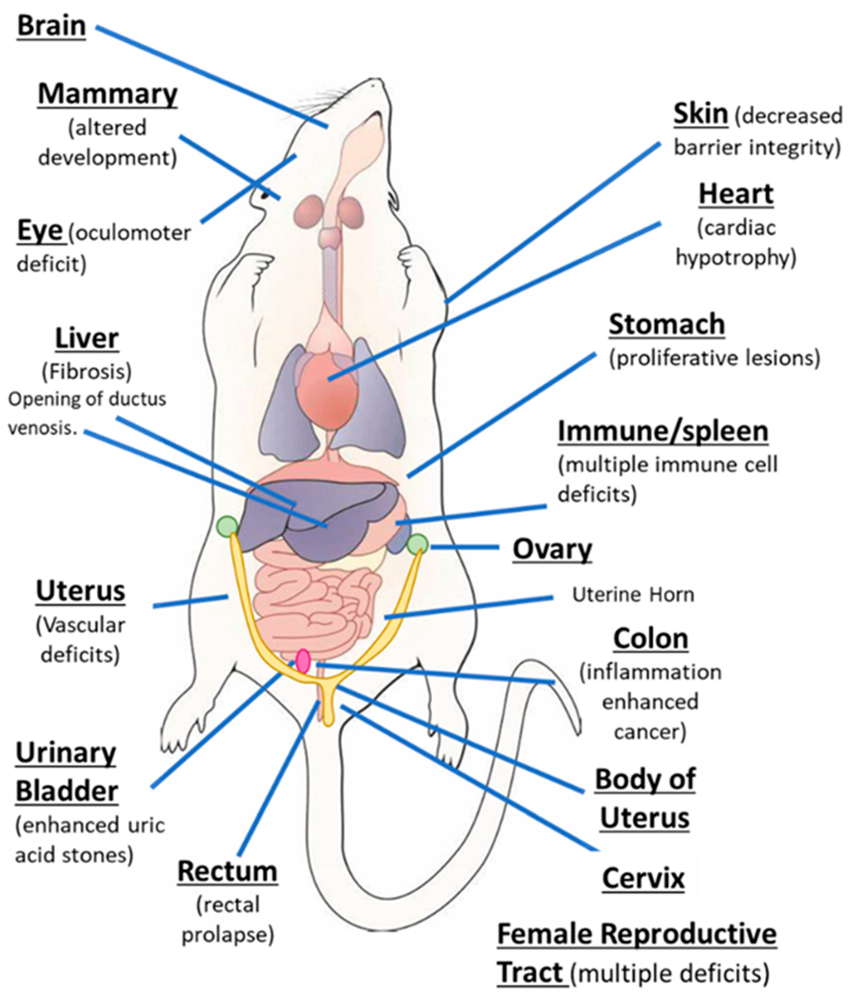 Ijms 21 06654 g001 Ijms 21 06654 g001