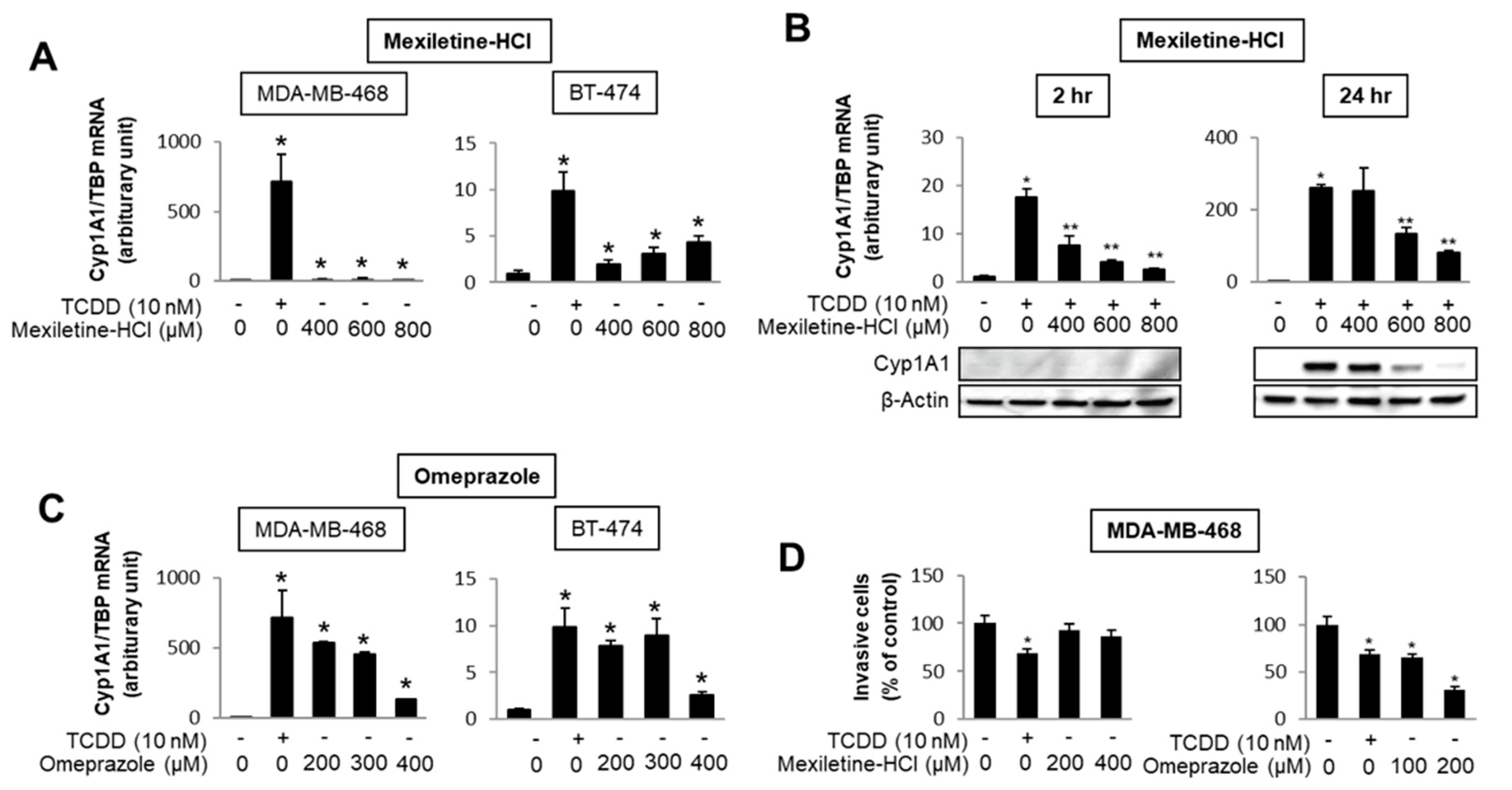 Ijms 21 06654 g003 Ijms 21 06654 g003