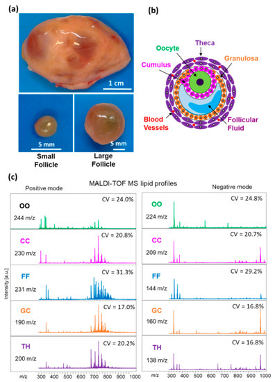 glutathione peroxidase 1 maldi mass spectrum The Use of Different MS Techniques to Determine Levels in Marine Tissues | Food Analytical Methods Mass Spectrometric and Glycan MicroarrayBased