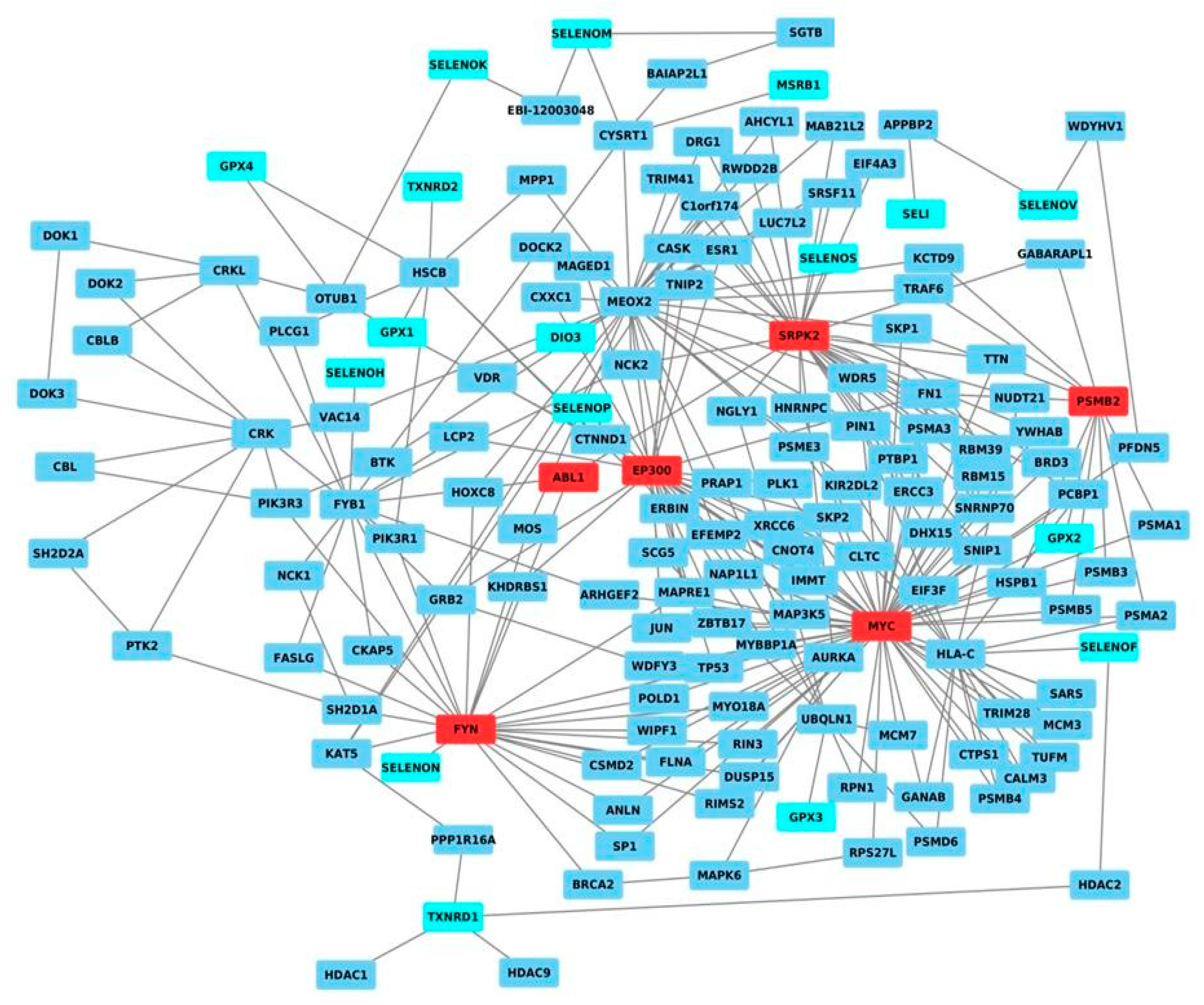 Ijms 21 06694 g001 Ijms 21 06694 g001