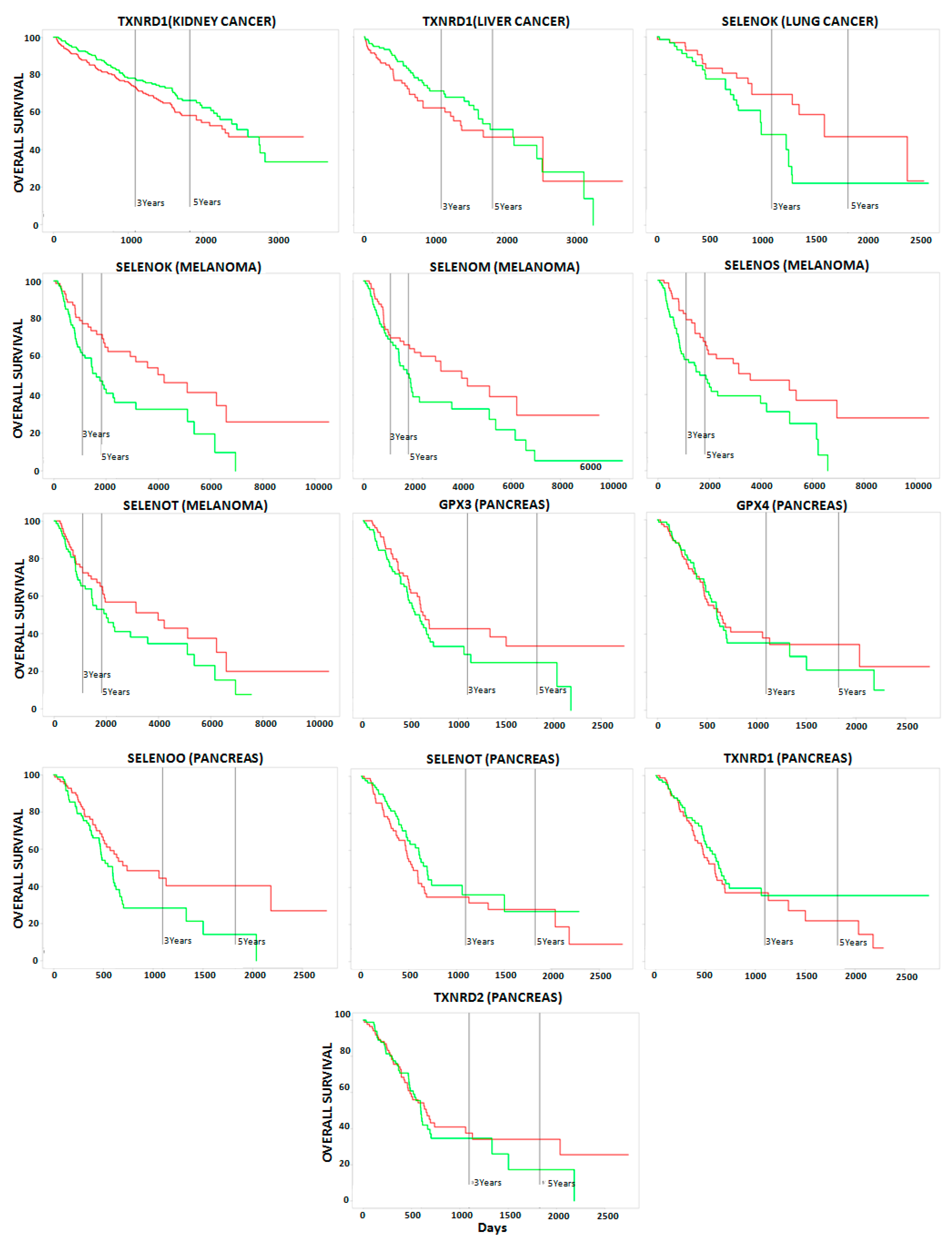 Ijms 21 06694 g003b Ijms 21 06694 g003b