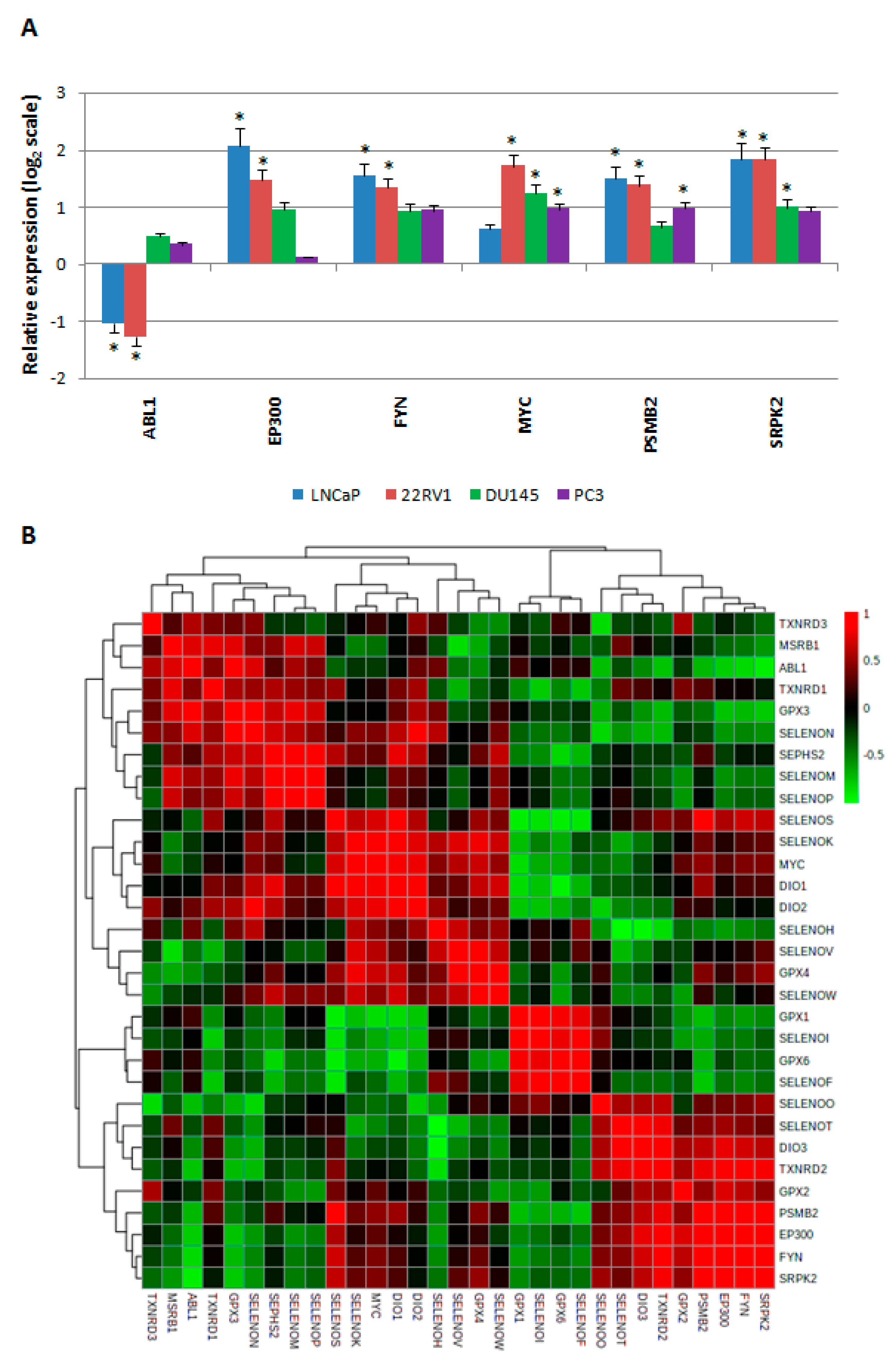 Ijms 21 06694 g005 Ijms 21 06694 g005