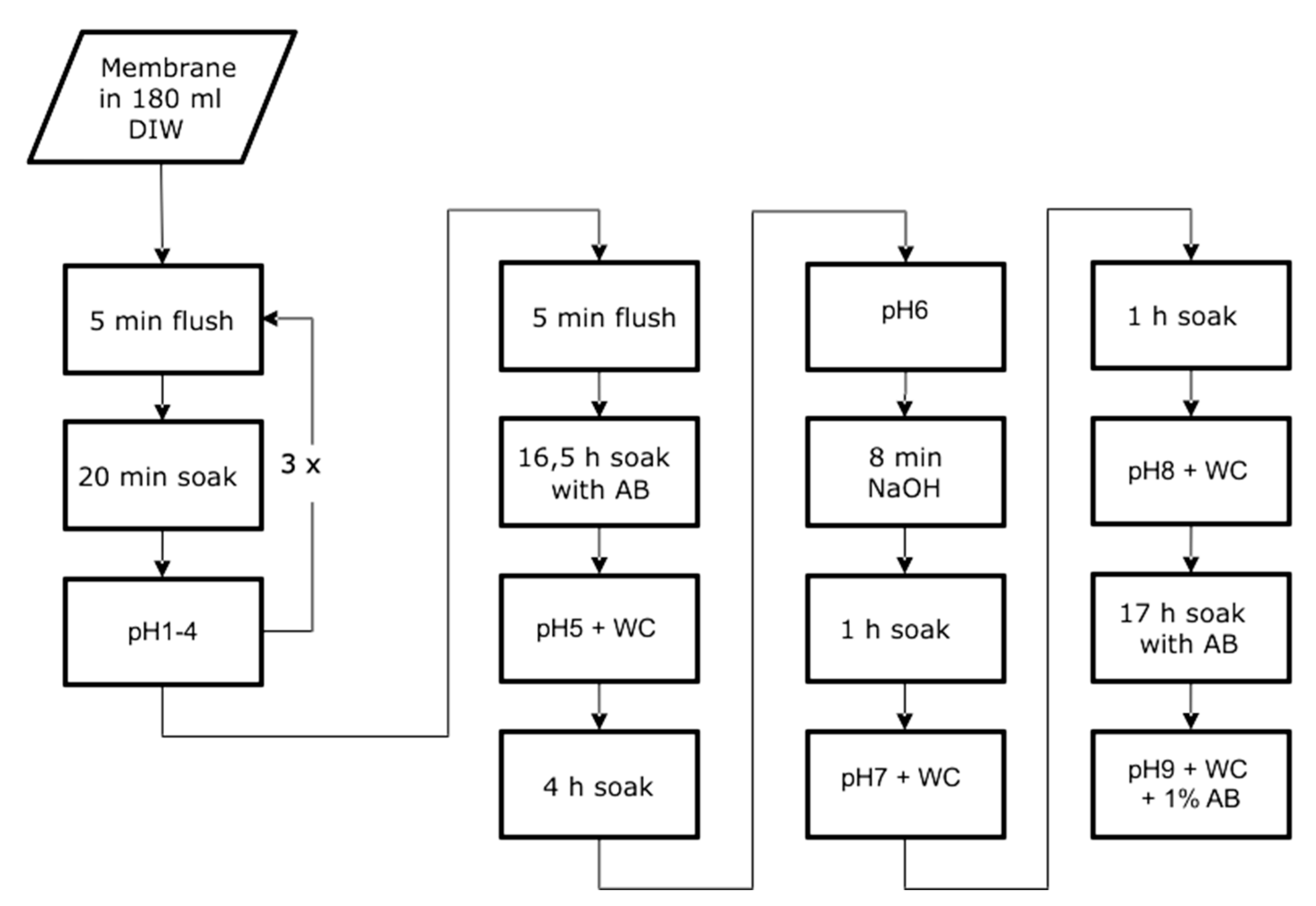 Ijms 21 06704 g001 Ijms 21 06704 g001