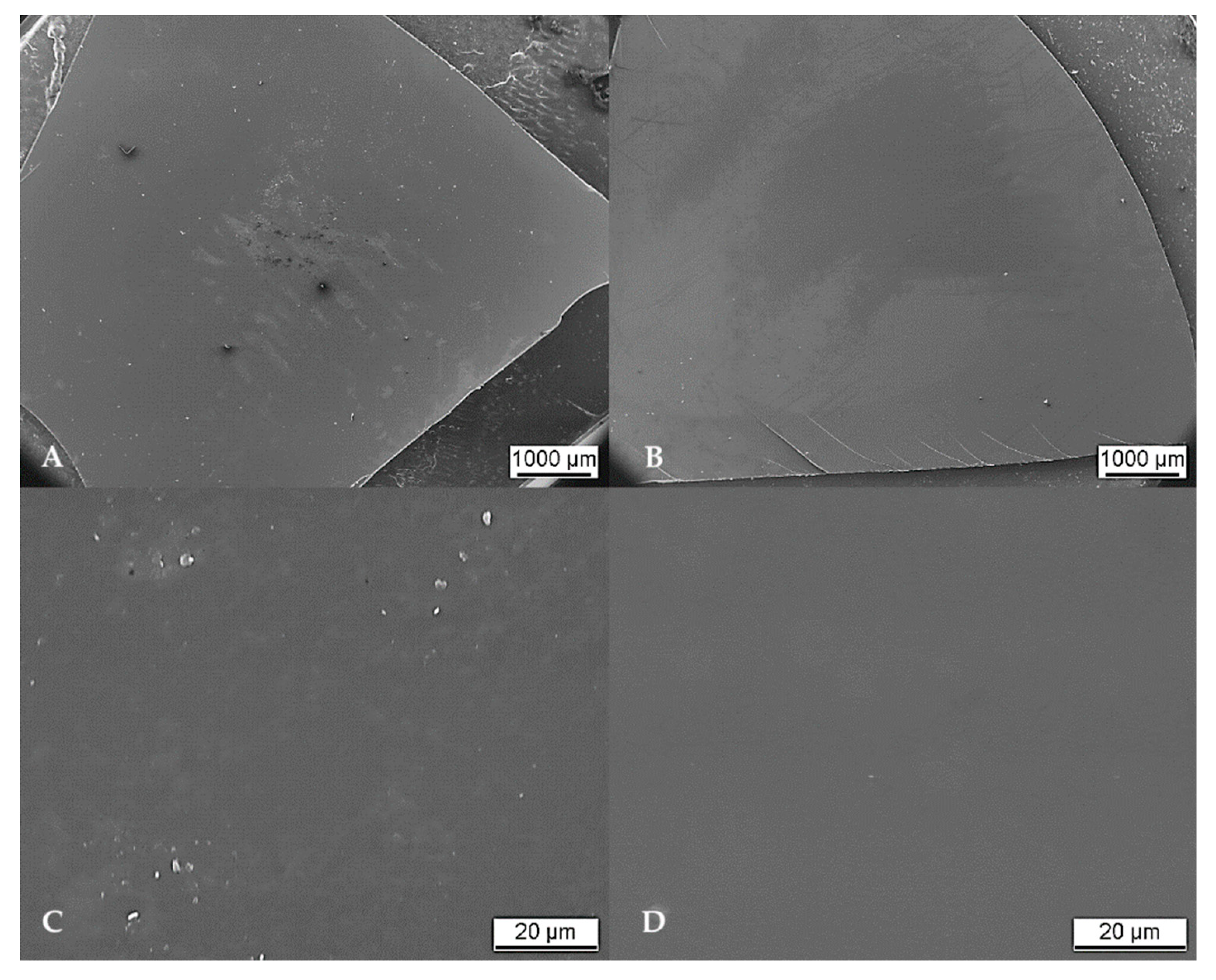 Ijms 21 06704 g002 Ijms 21 06704 g002