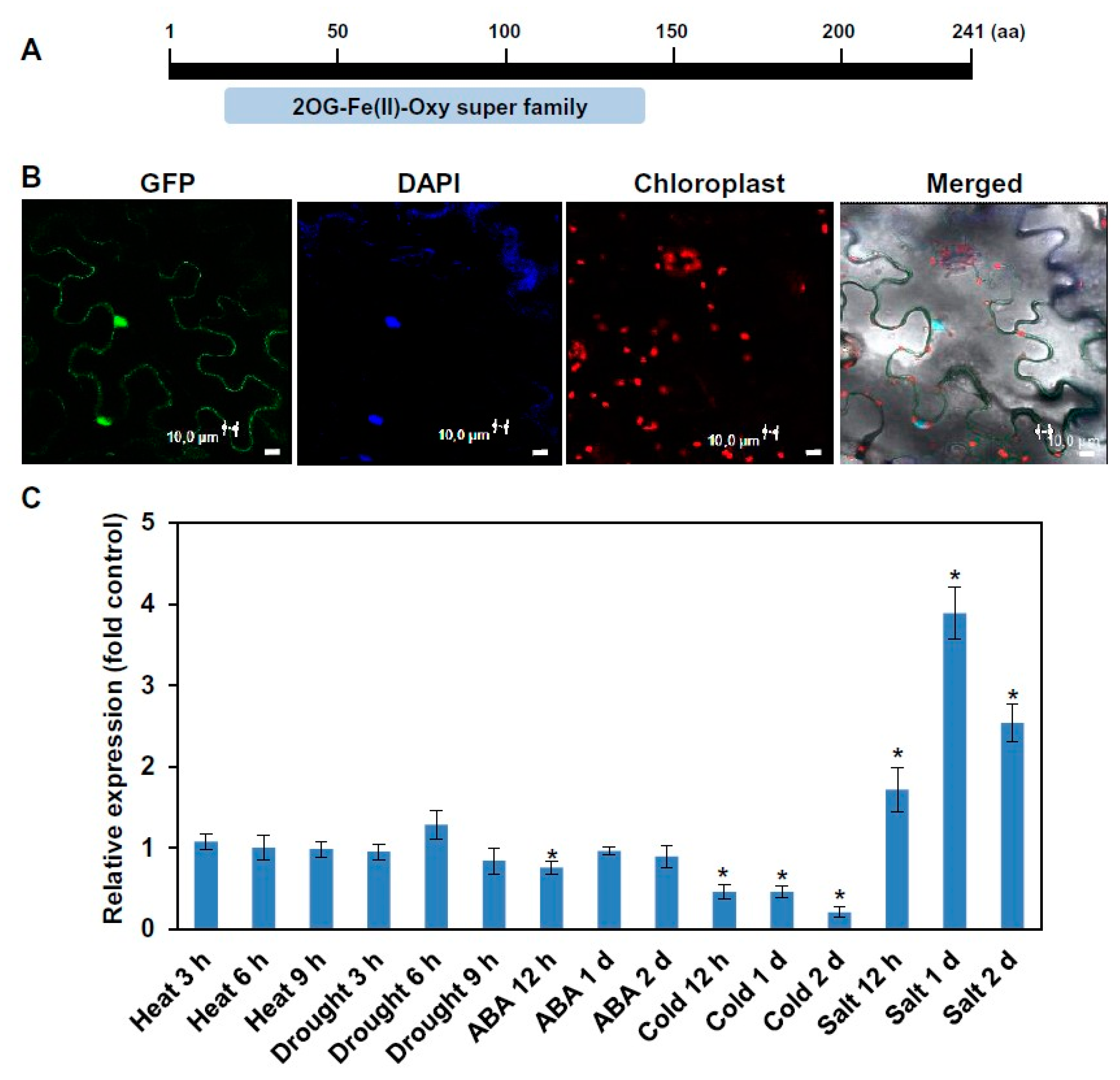 Ijms 21 06707 g001 Ijms 21 06707 g001