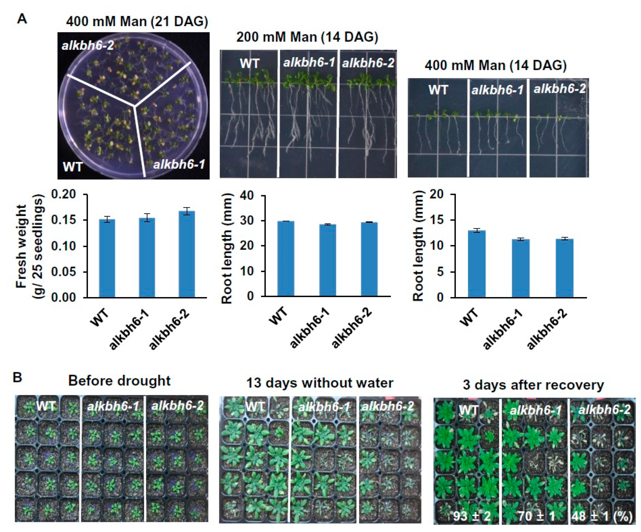 Ijms 21 06707 g002 Ijms 21 06707 g002