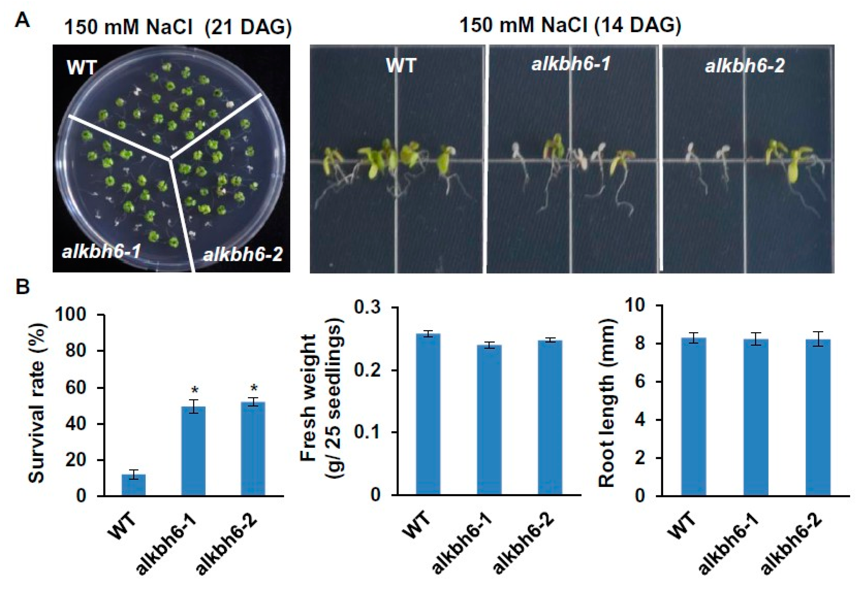 Ijms 21 06707 g003 Ijms 21 06707 g003