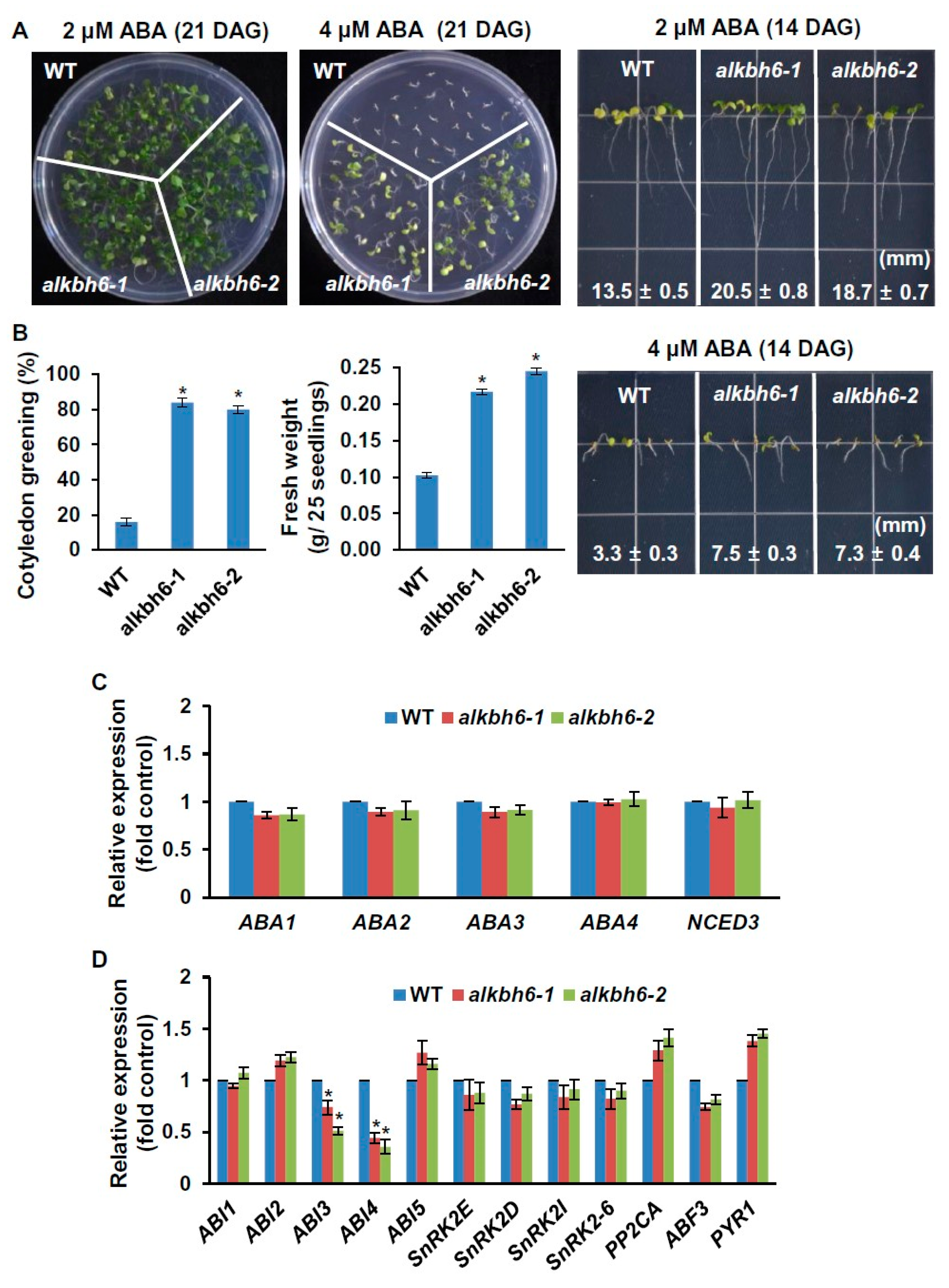 Ijms 21 06707 g005 Ijms 21 06707 g005