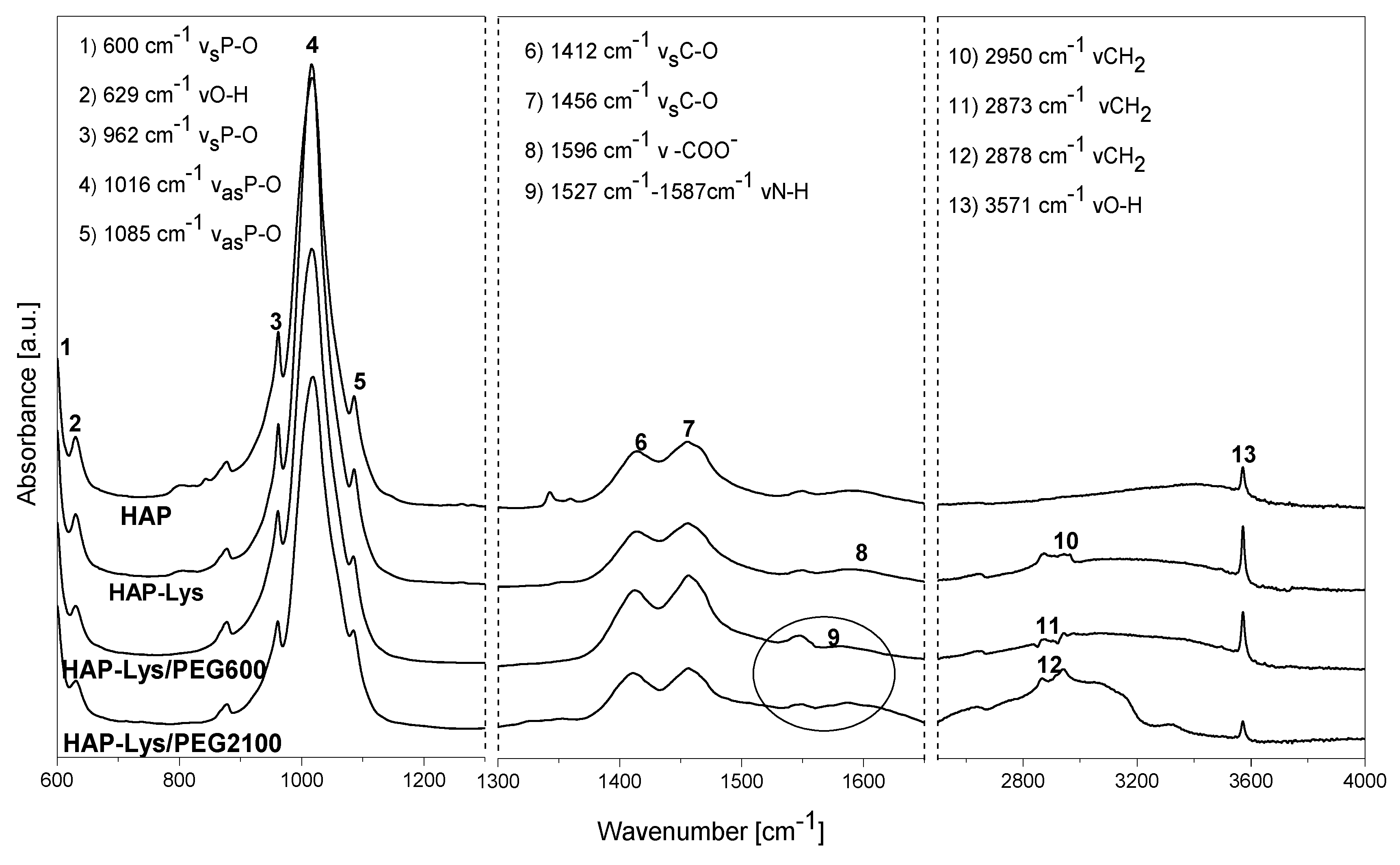 Ijms 21 06711 g001 Ijms 21 06711 g001