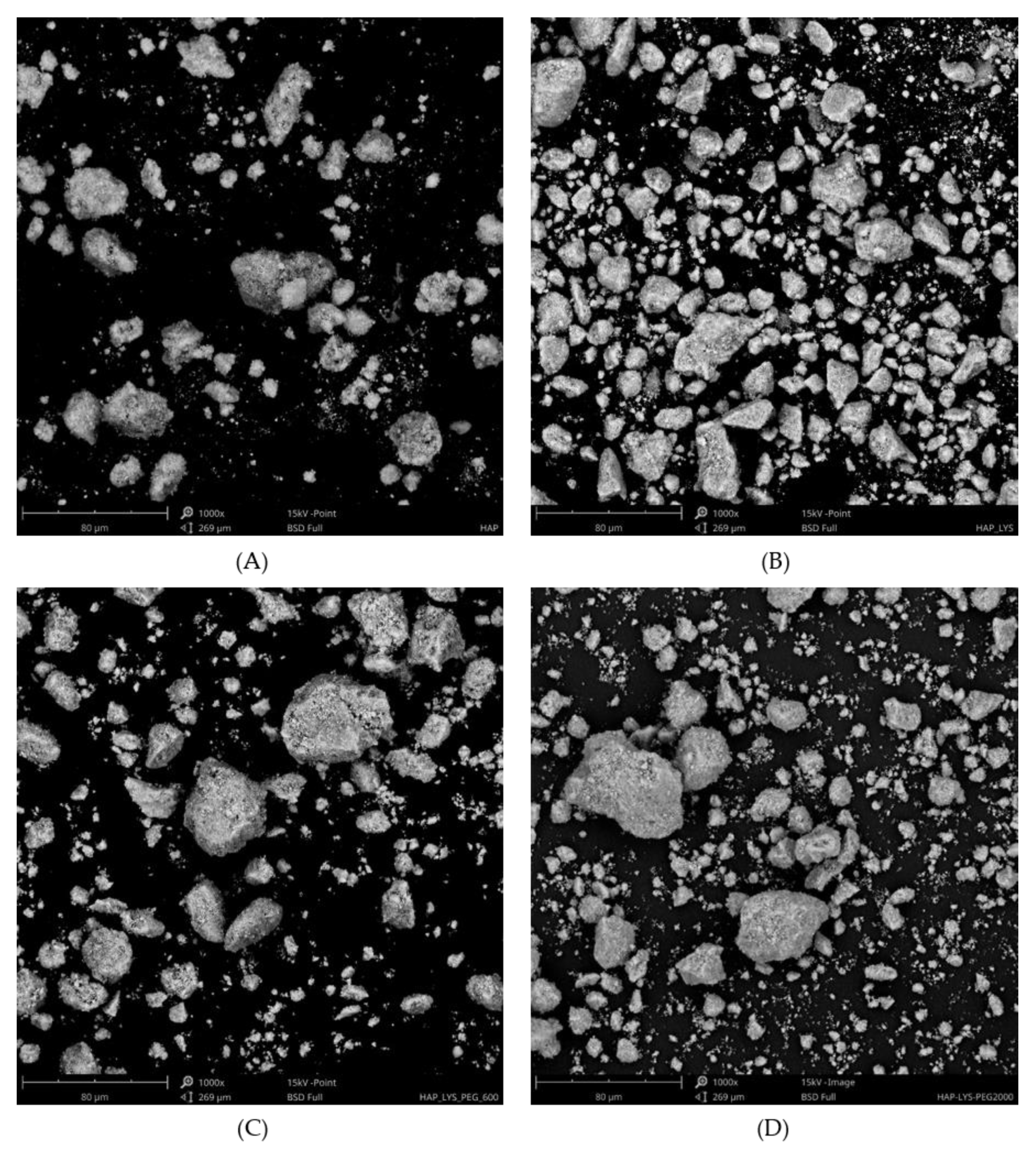 Ijms 21 06711 g003 Ijms 21 06711 g003