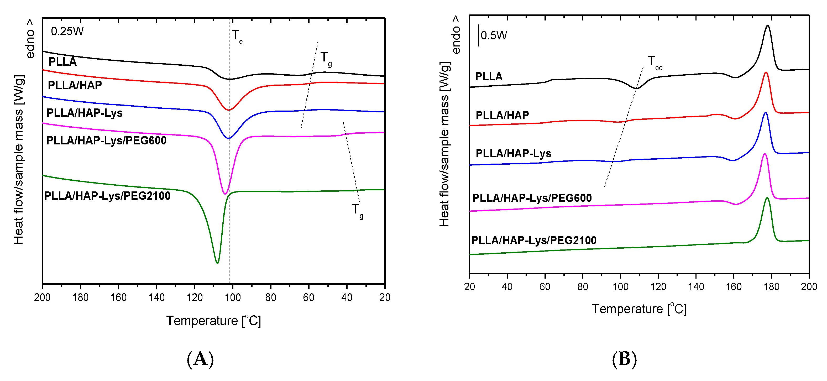Ijms 21 06711 g006a Ijms 21 06711 g006a