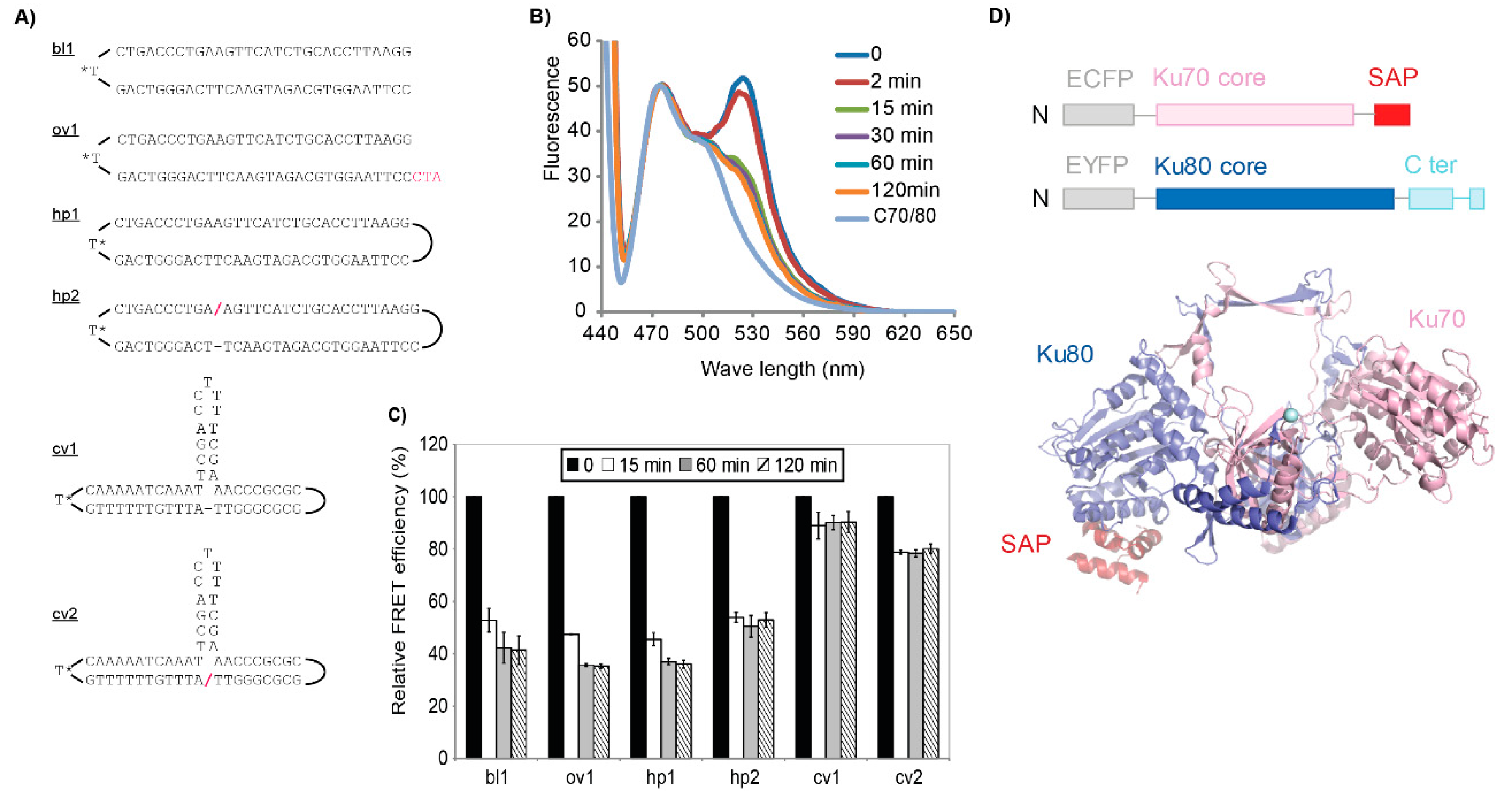 Ijms 21 06725 g001 Ijms 21 06725 g001