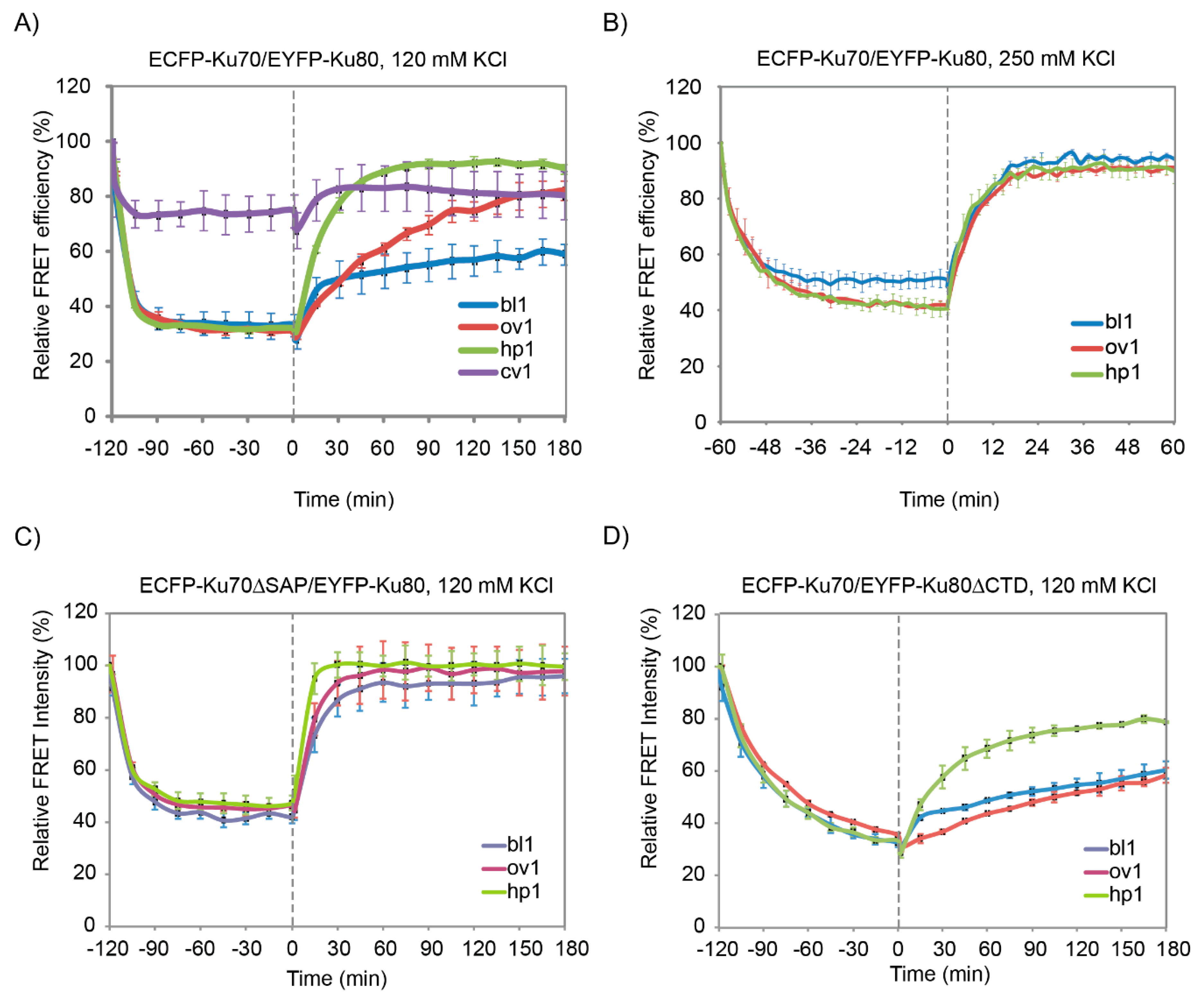 Ijms 21 06725 g002 Ijms 21 06725 g002