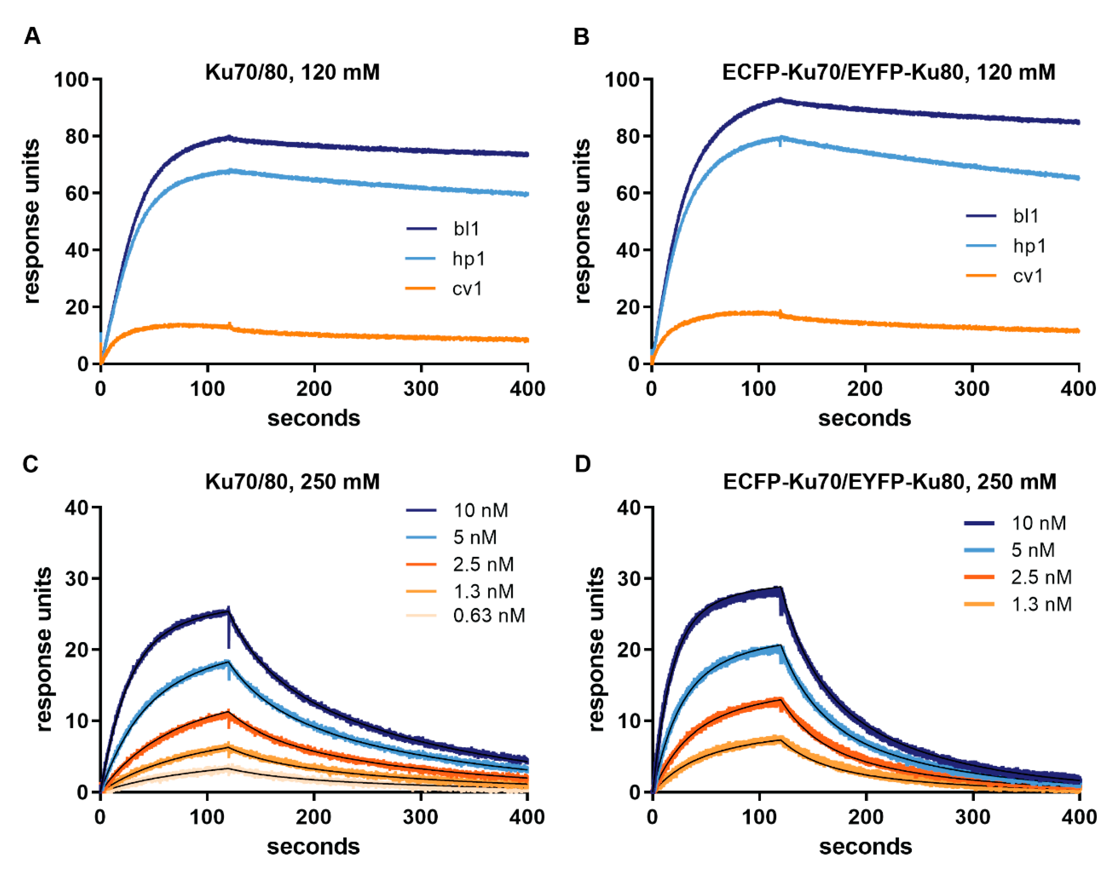 Ijms 21 06725 g003 Ijms 21 06725 g003