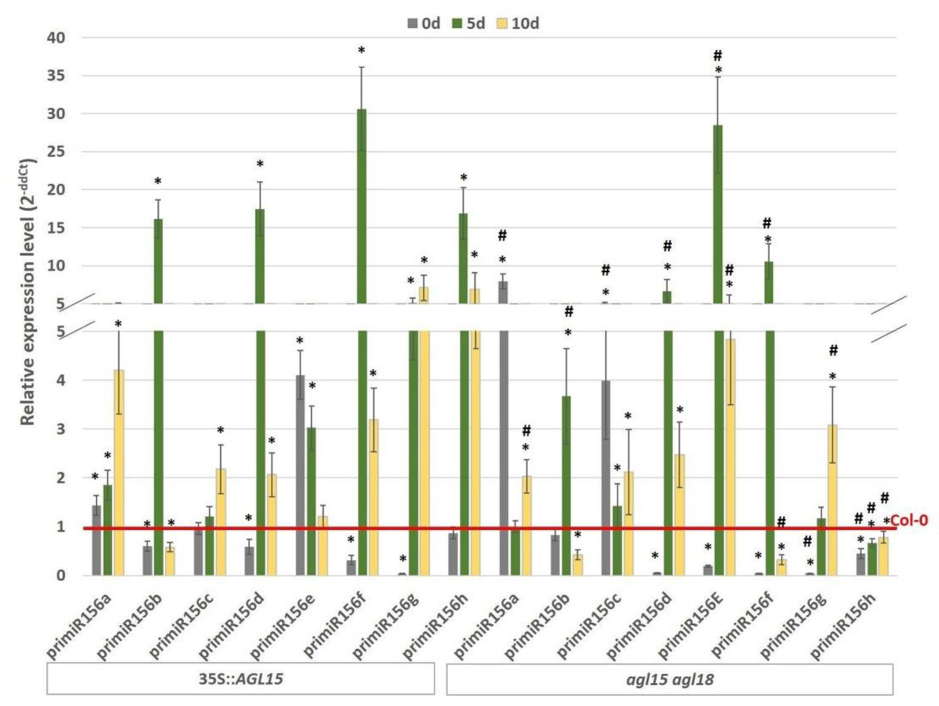 Ijms 21 06733 g001 Ijms 21 06733 g001
