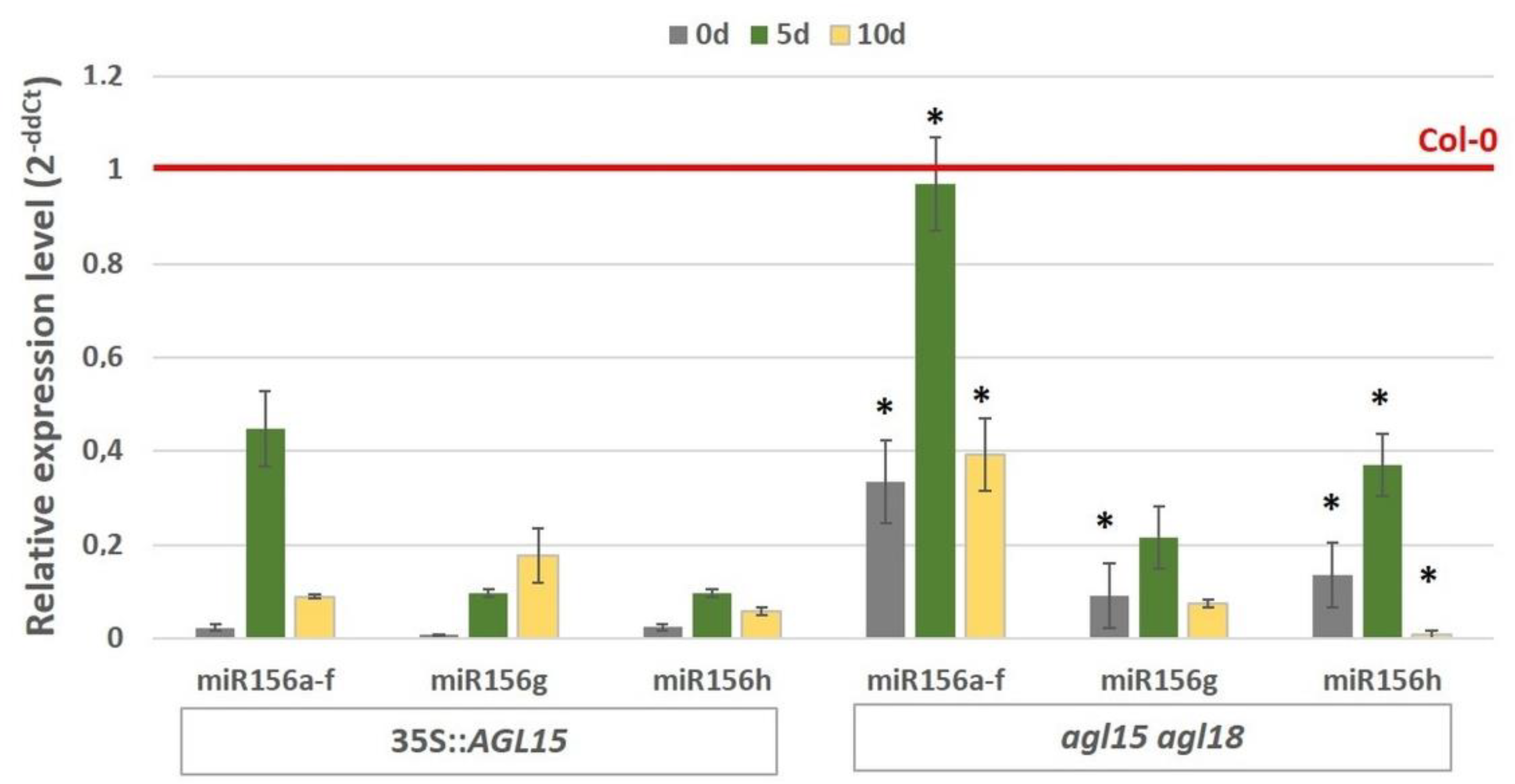 Ijms 21 06733 g002 Ijms 21 06733 g002