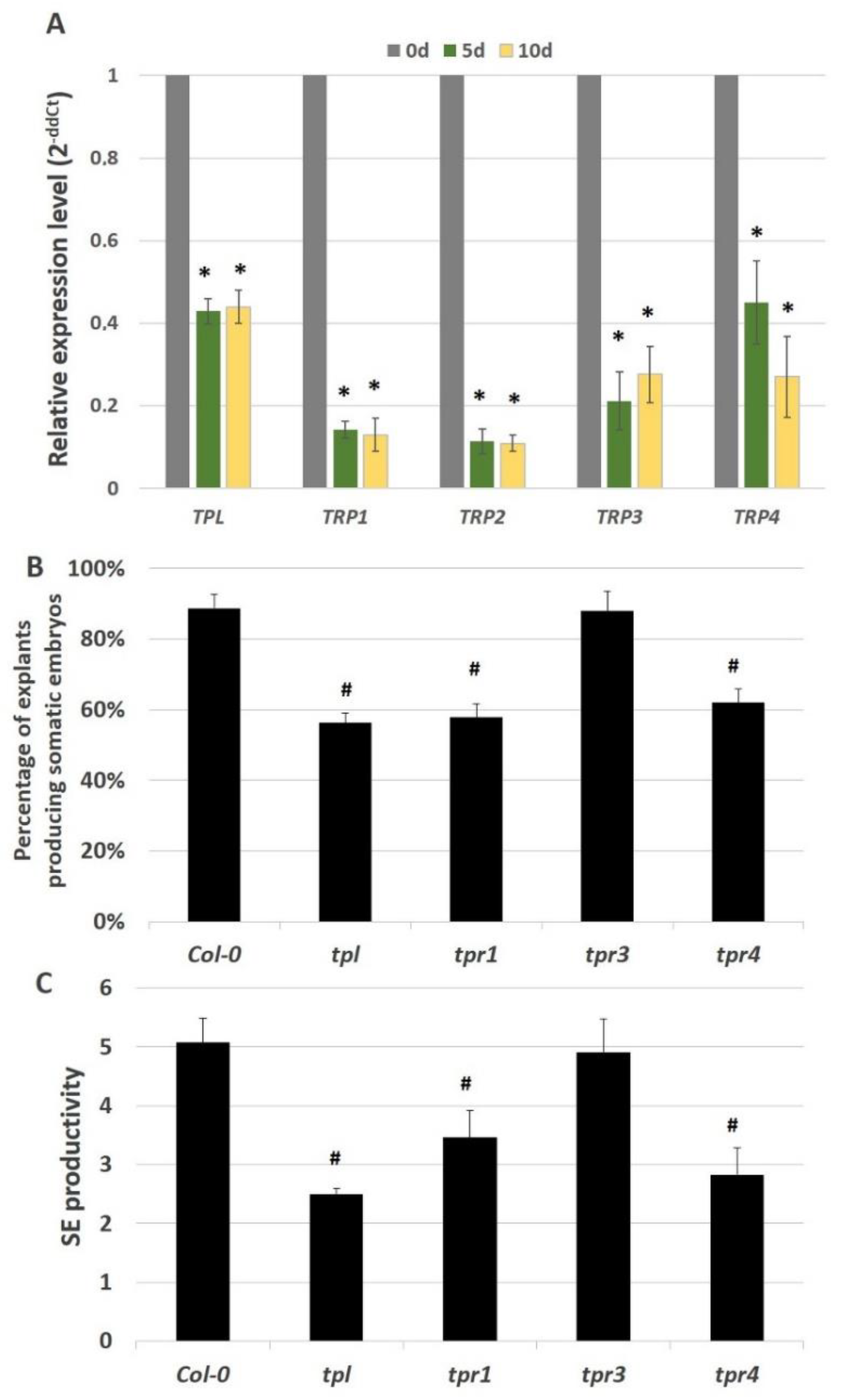 Ijms 21 06733 g008 Ijms 21 06733 g008