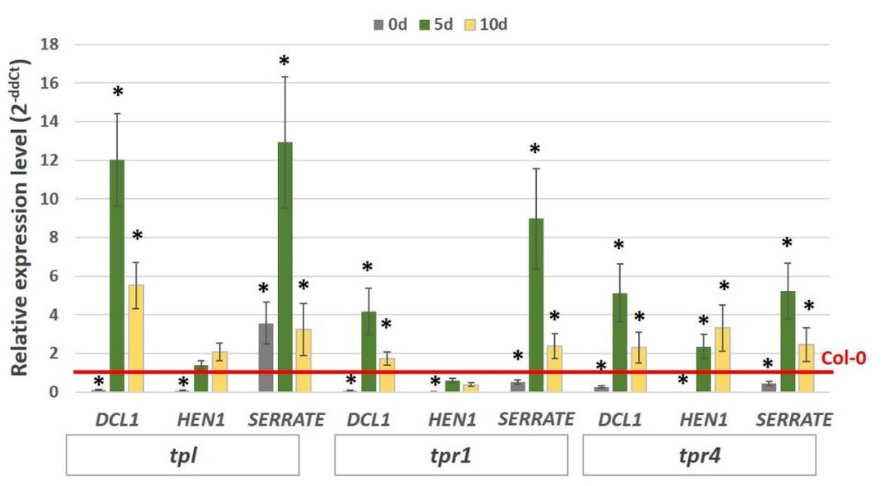 Ijms 21 06733 g009 Ijms 21 06733 g009