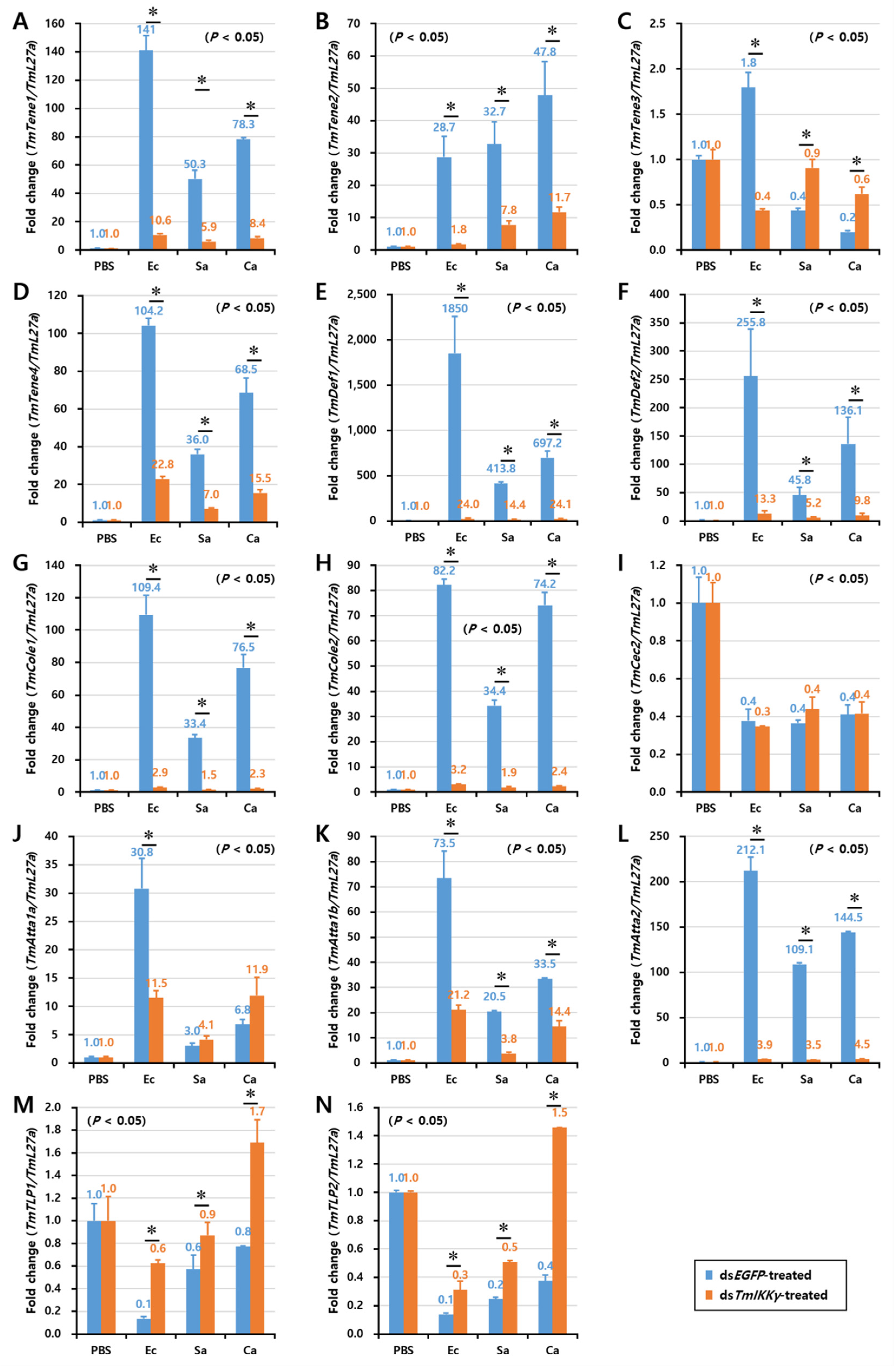 Ijms 21 06734 g005 Ijms 21 06734 g005