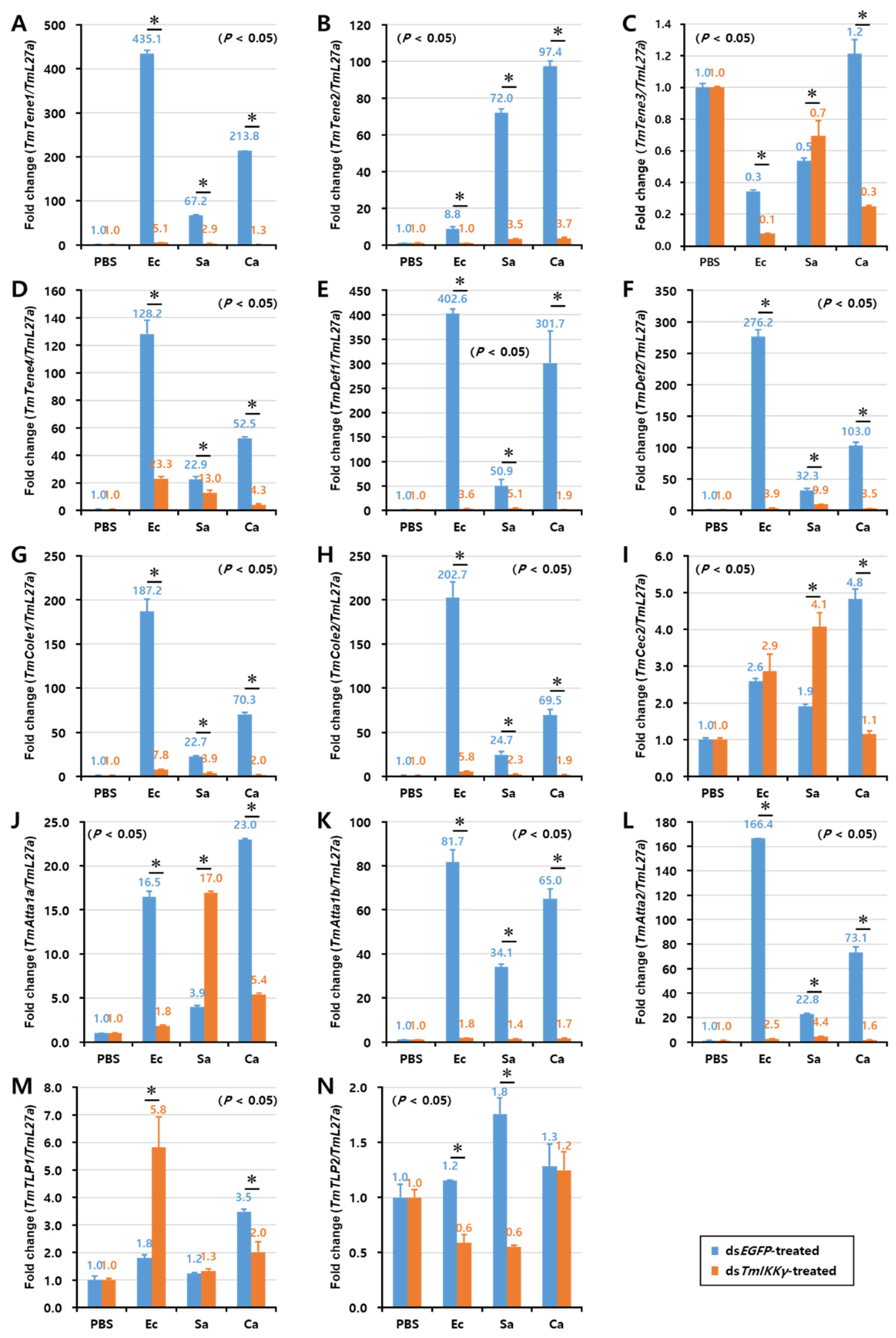 Ijms 21 06734 g006 Ijms 21 06734 g006