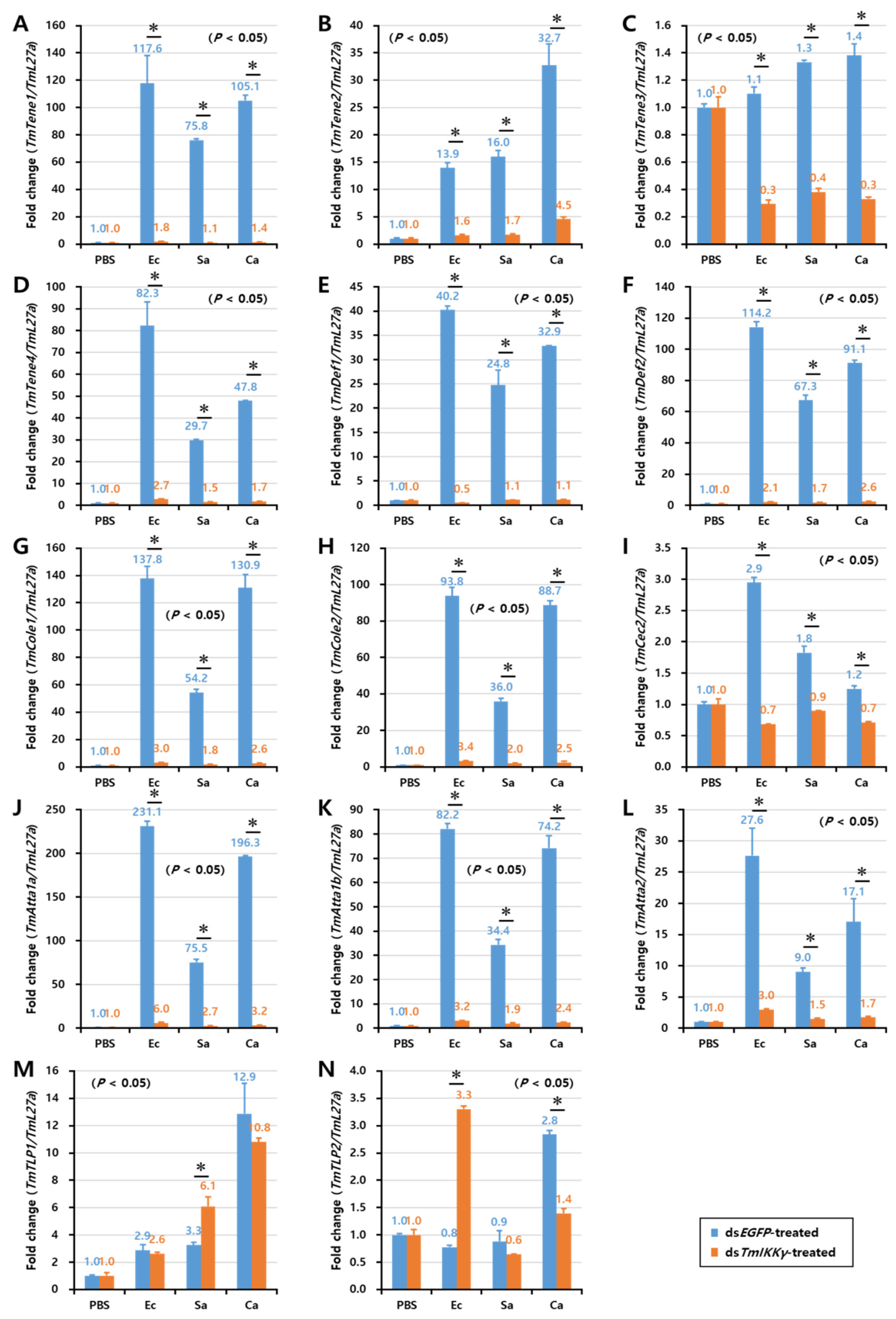 Ijms 21 06734 g007 Ijms 21 06734 g007