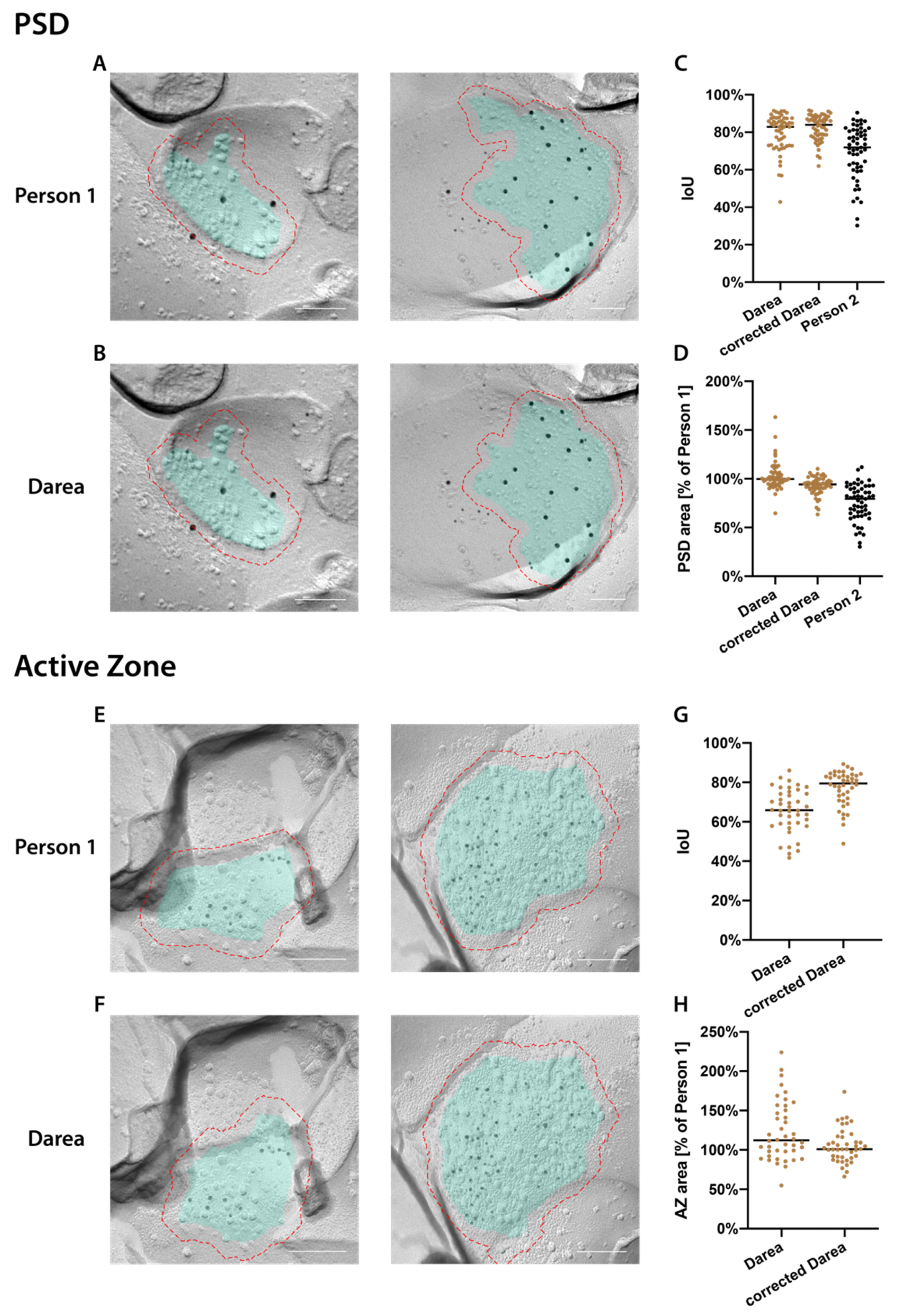 Ijms 21 06737 g001 Ijms 21 06737 g001