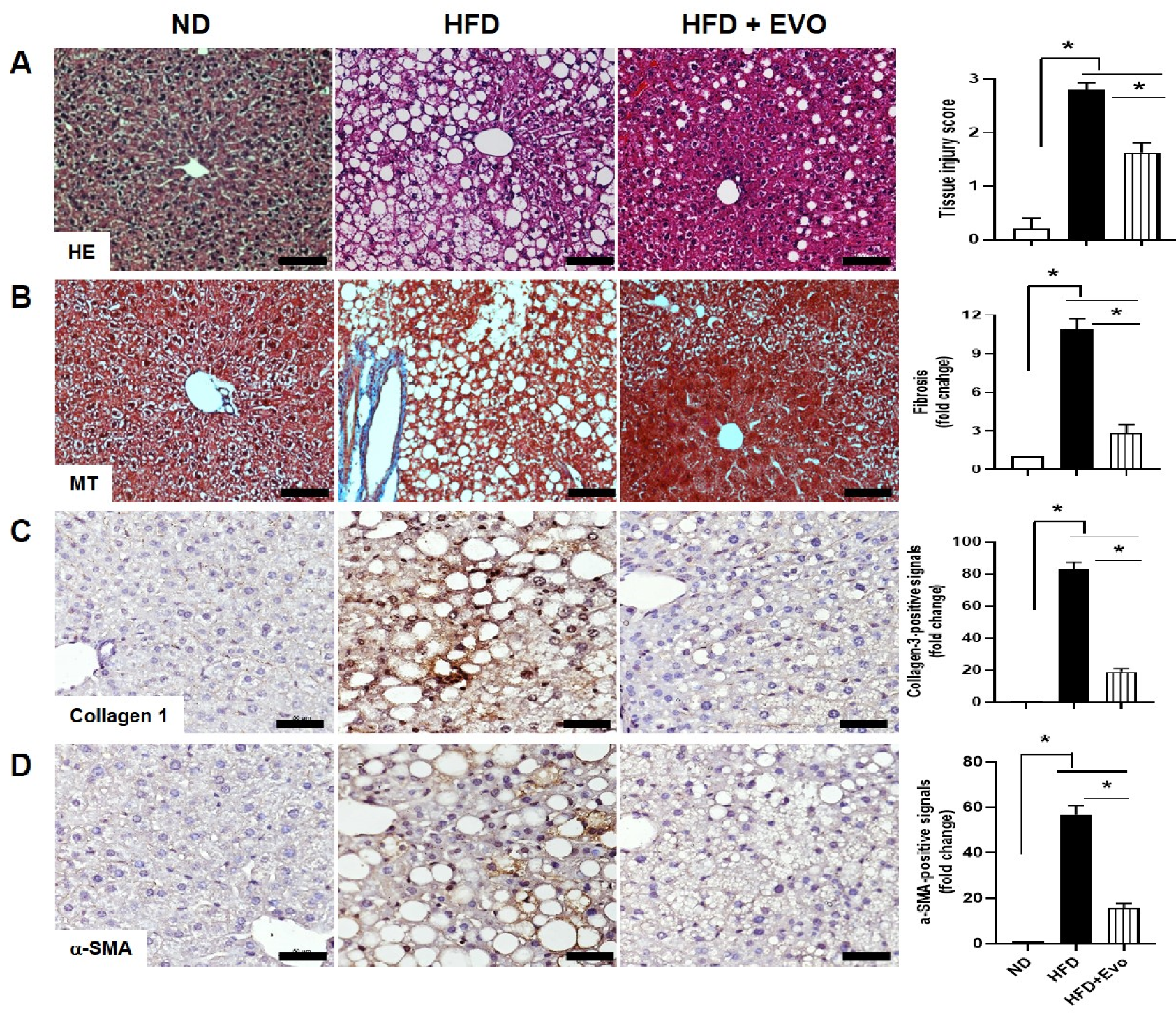 Ijms 21 06743 g003 Ijms 21 06743 g003