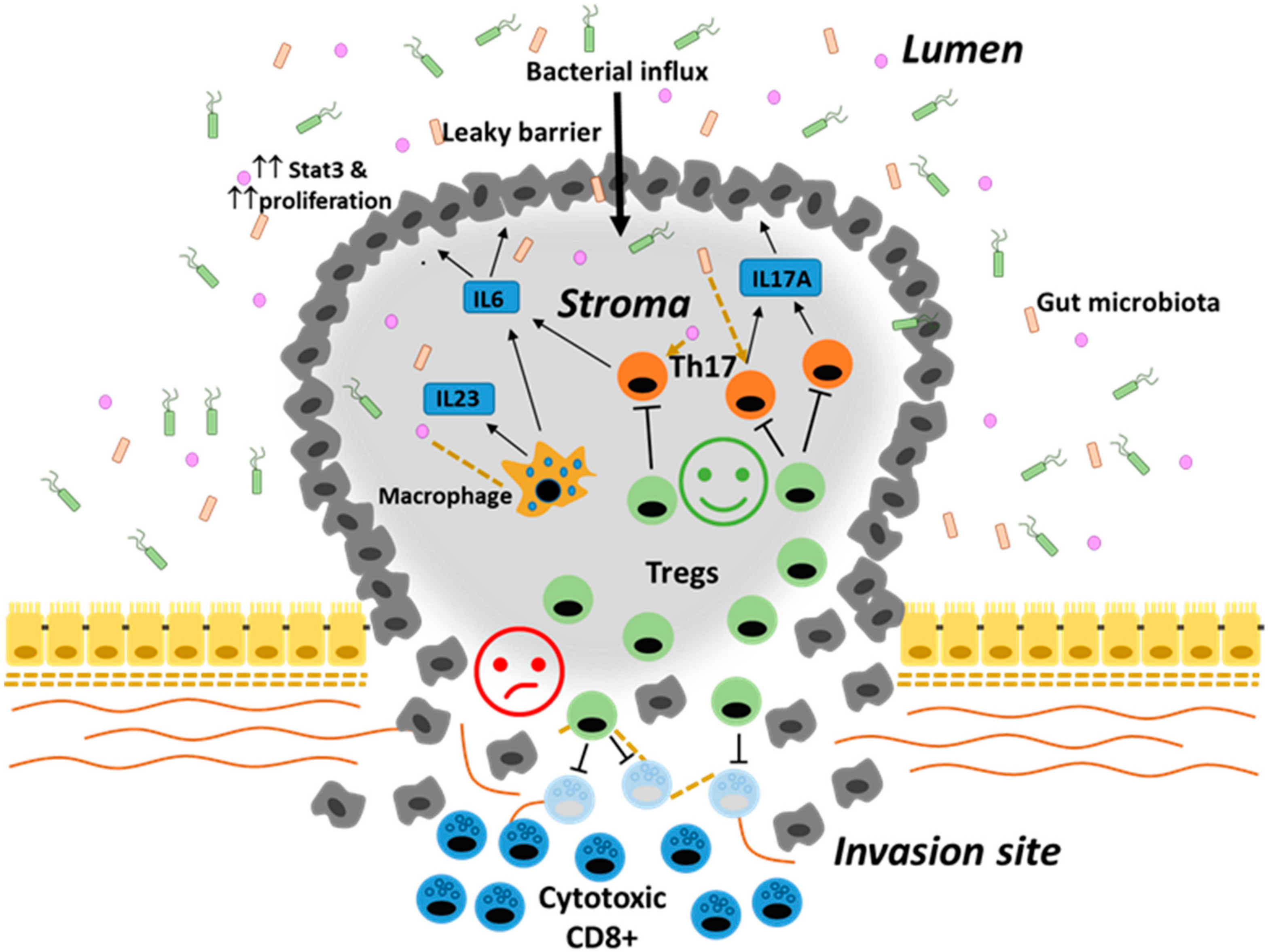 Ijms 21 06744 g002 Ijms 21 06744 g002