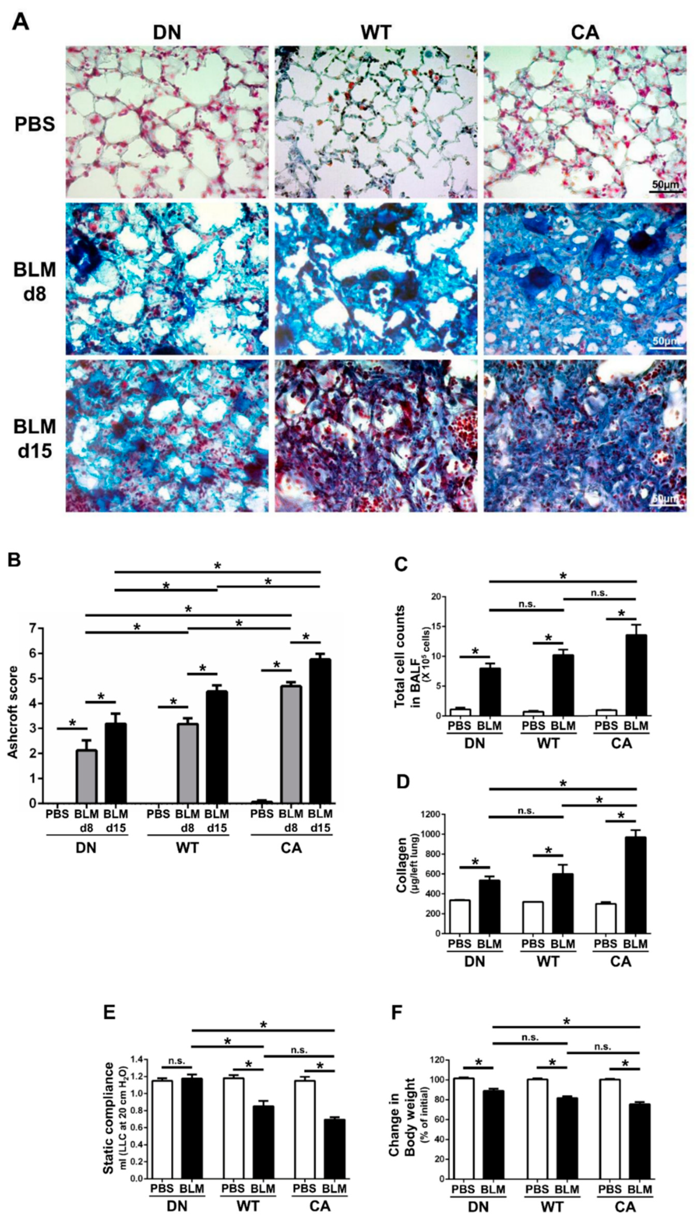 Ijms 21 06746 g001 Ijms 21 06746 g001