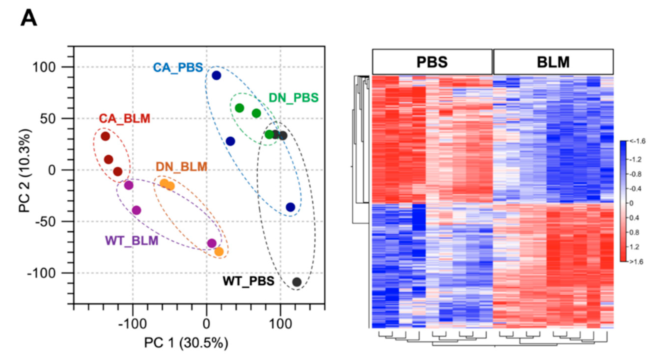 Ijms 21 06746 g002a Ijms 21 06746 g002a