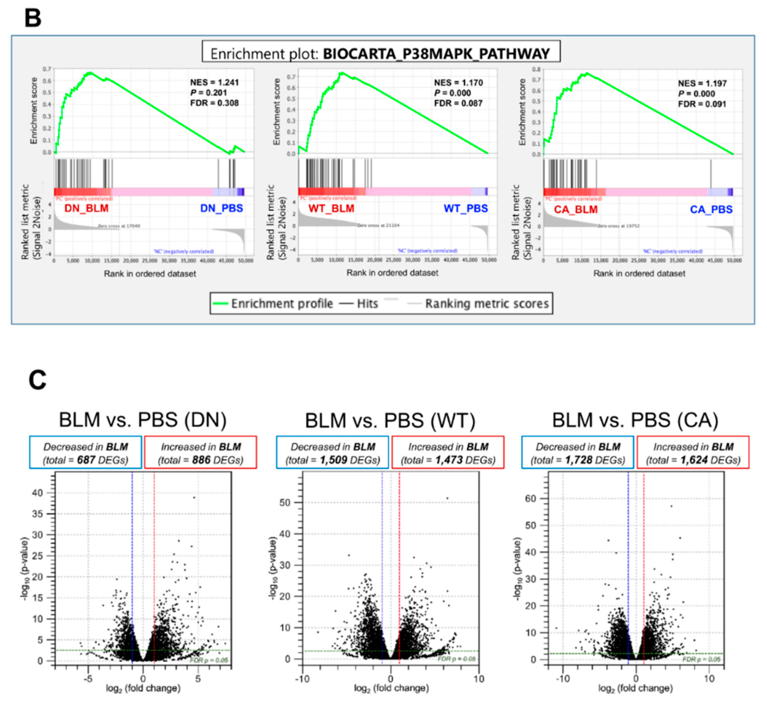 Ijms 21 06746 g002b Ijms 21 06746 g002b