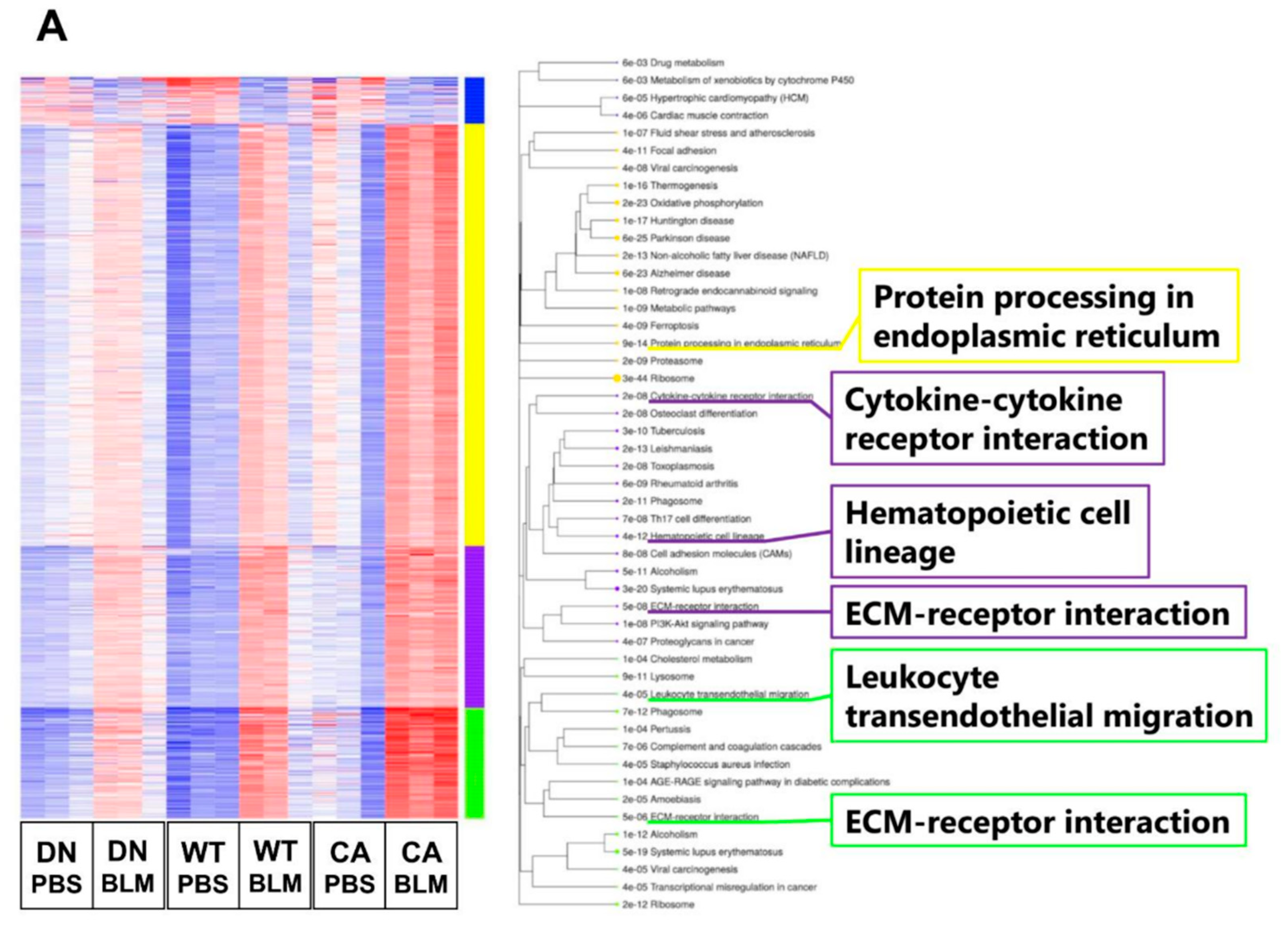 Ijms 21 06746 g003a Ijms 21 06746 g003a