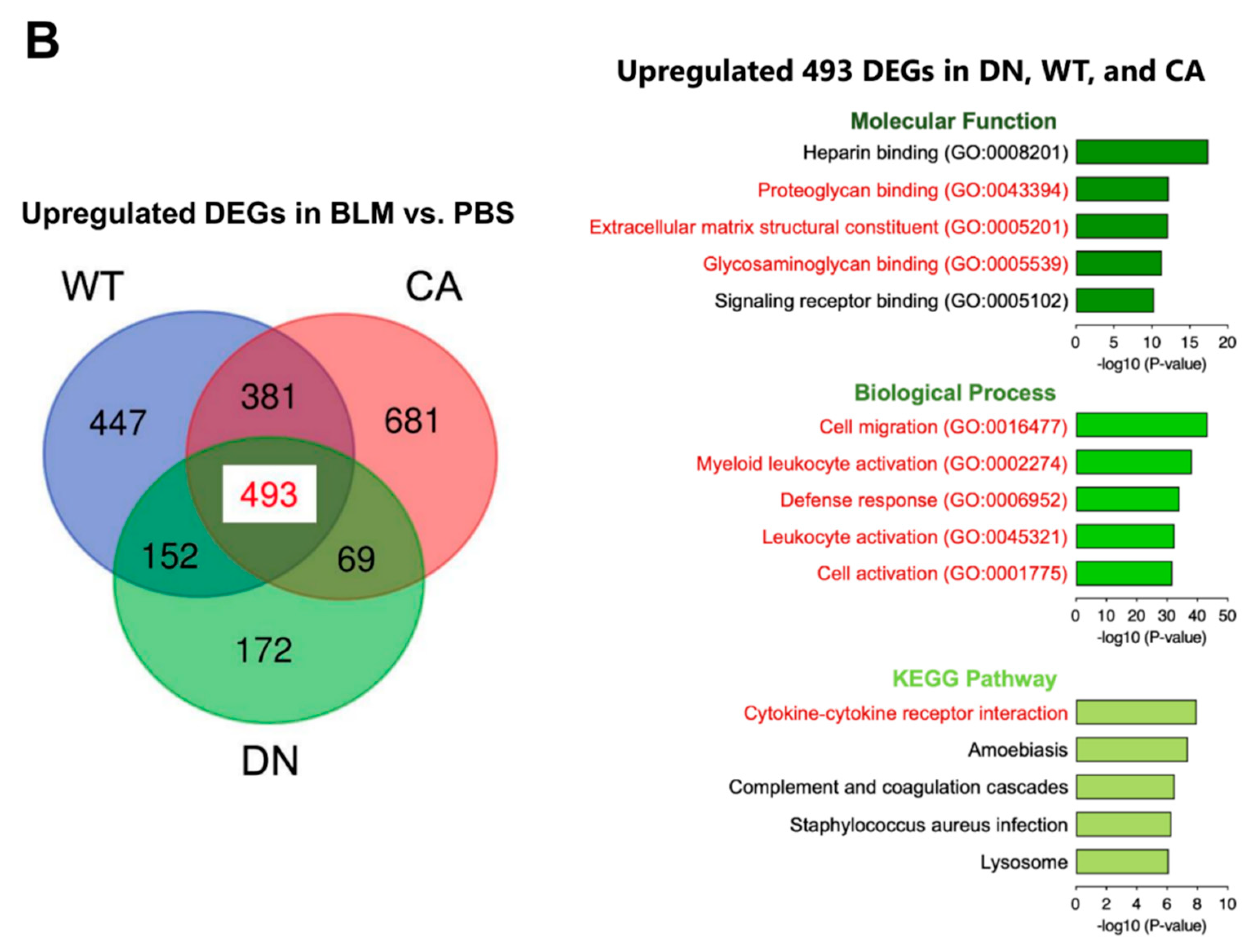 Ijms 21 06746 g003b Ijms 21 06746 g003b