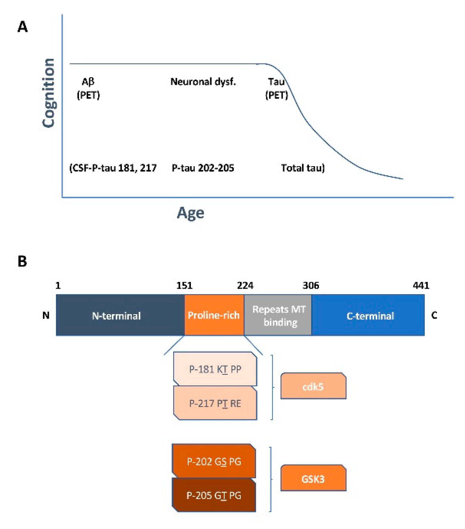 Ijms 21 06749 g001 Ijms 21 06749 g001