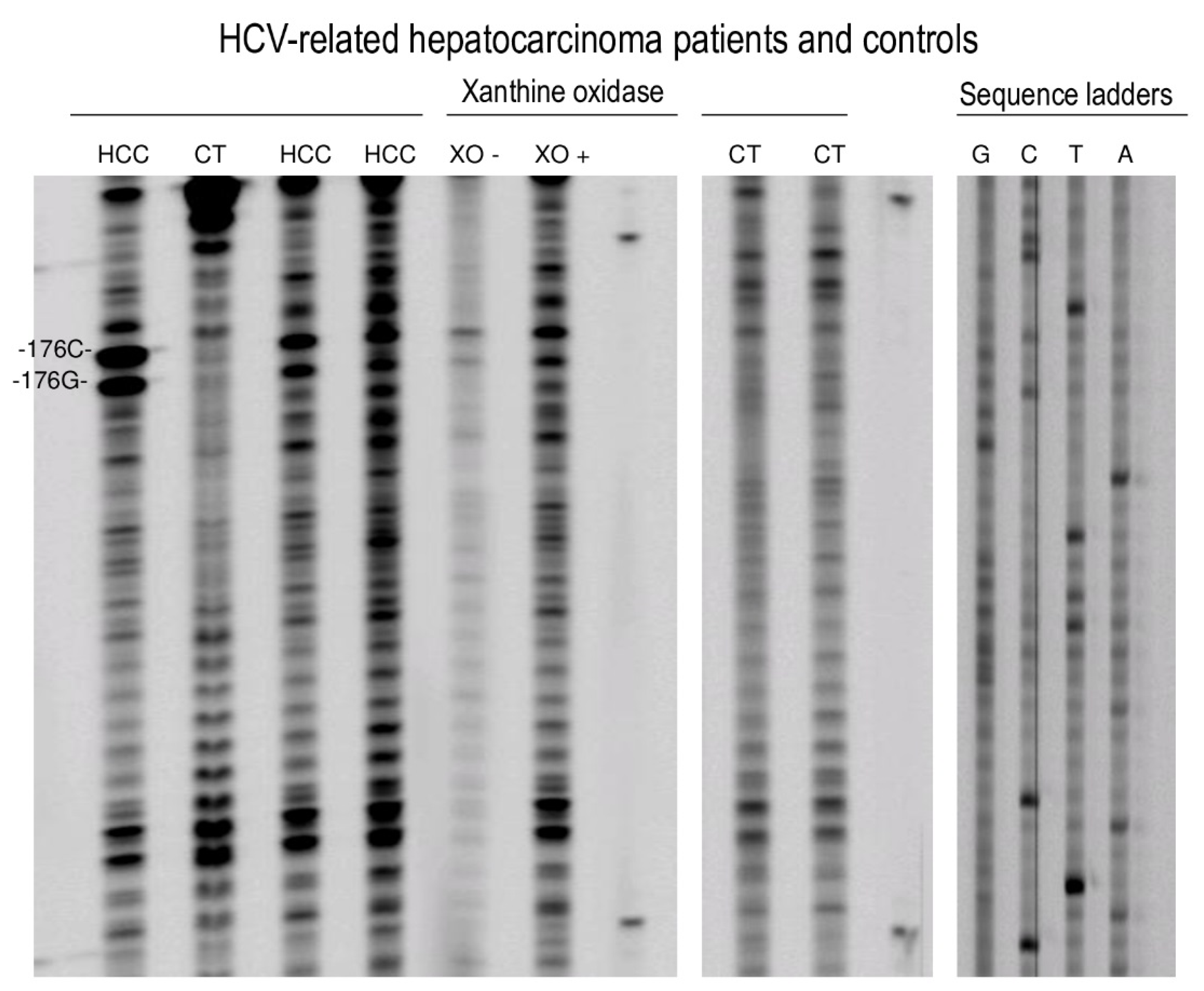 Ijms 21 06753 g001 Ijms 21 06753 g001