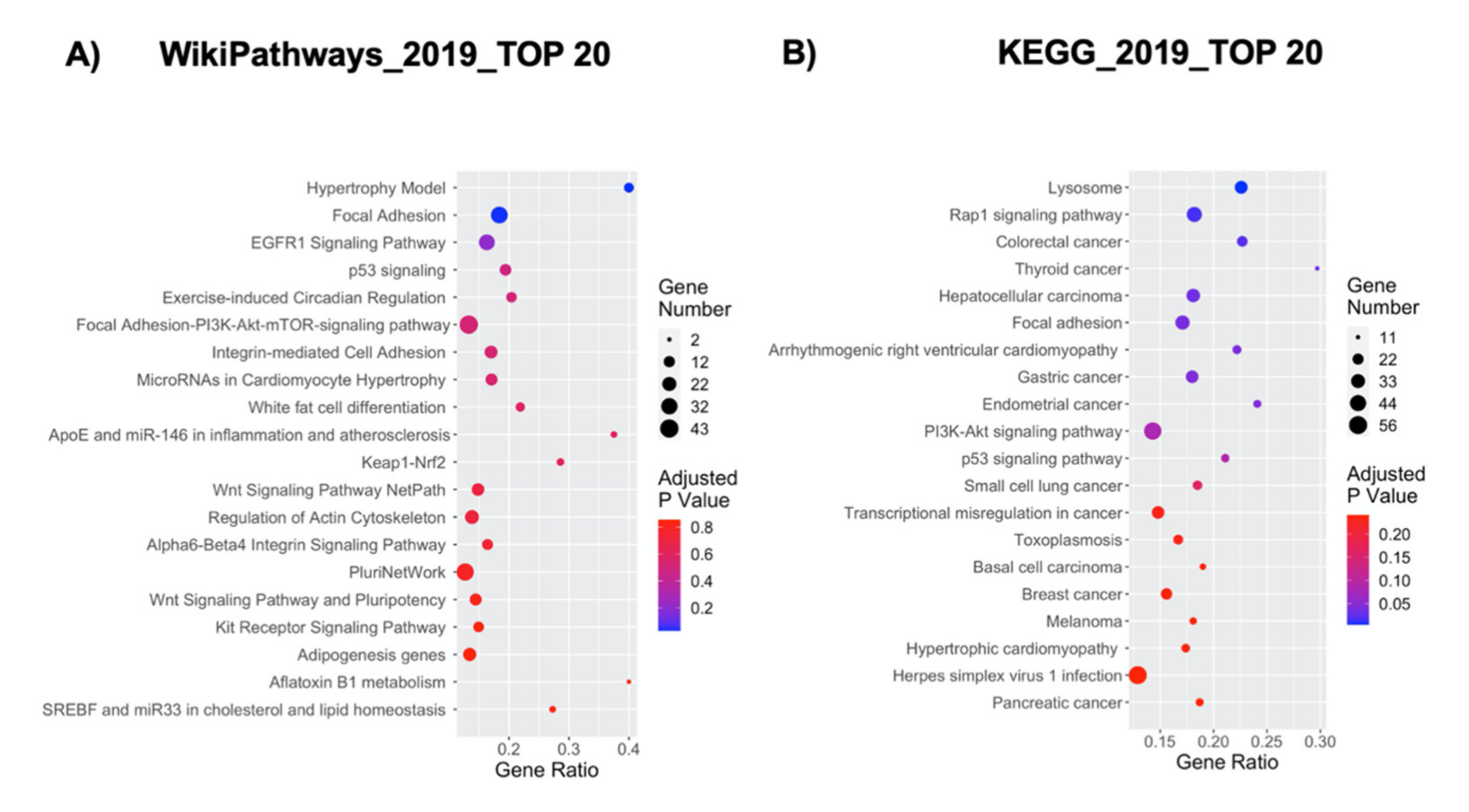 Ijms 21 06775 g002 Ijms 21 06775 g002