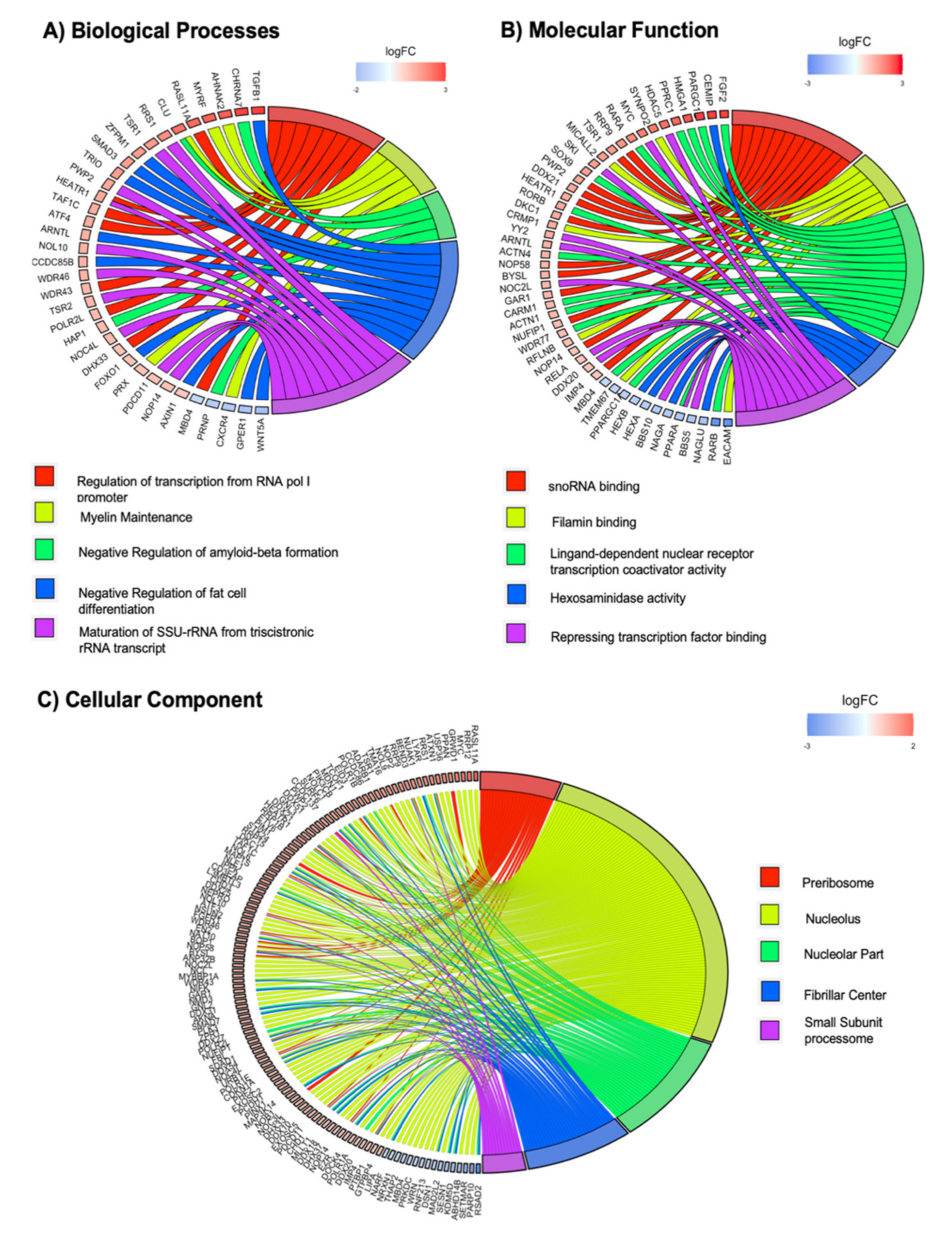 Ijms 21 06775 g003 Ijms 21 06775 g003