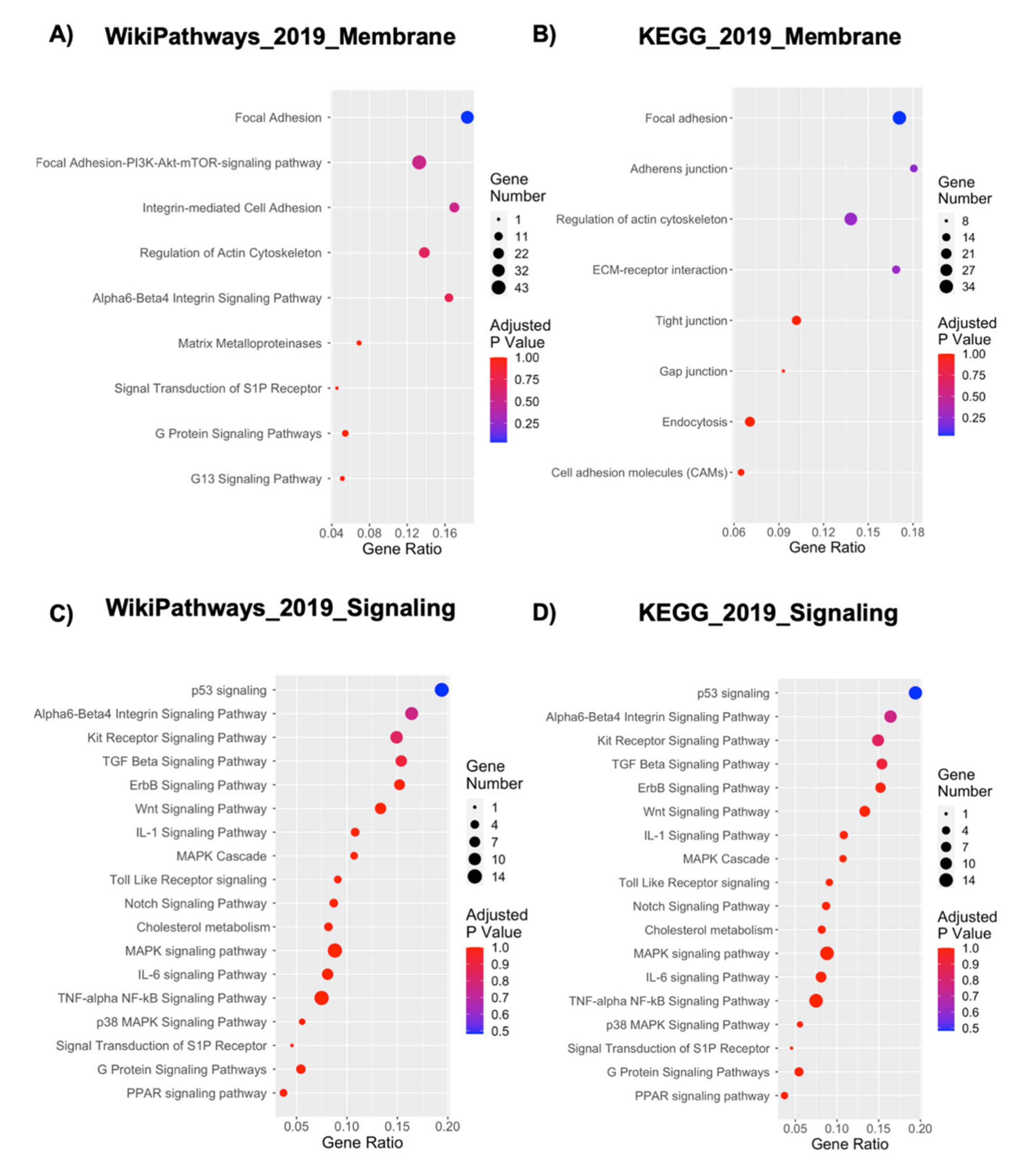 Ijms 21 06775 g004 Ijms 21 06775 g004