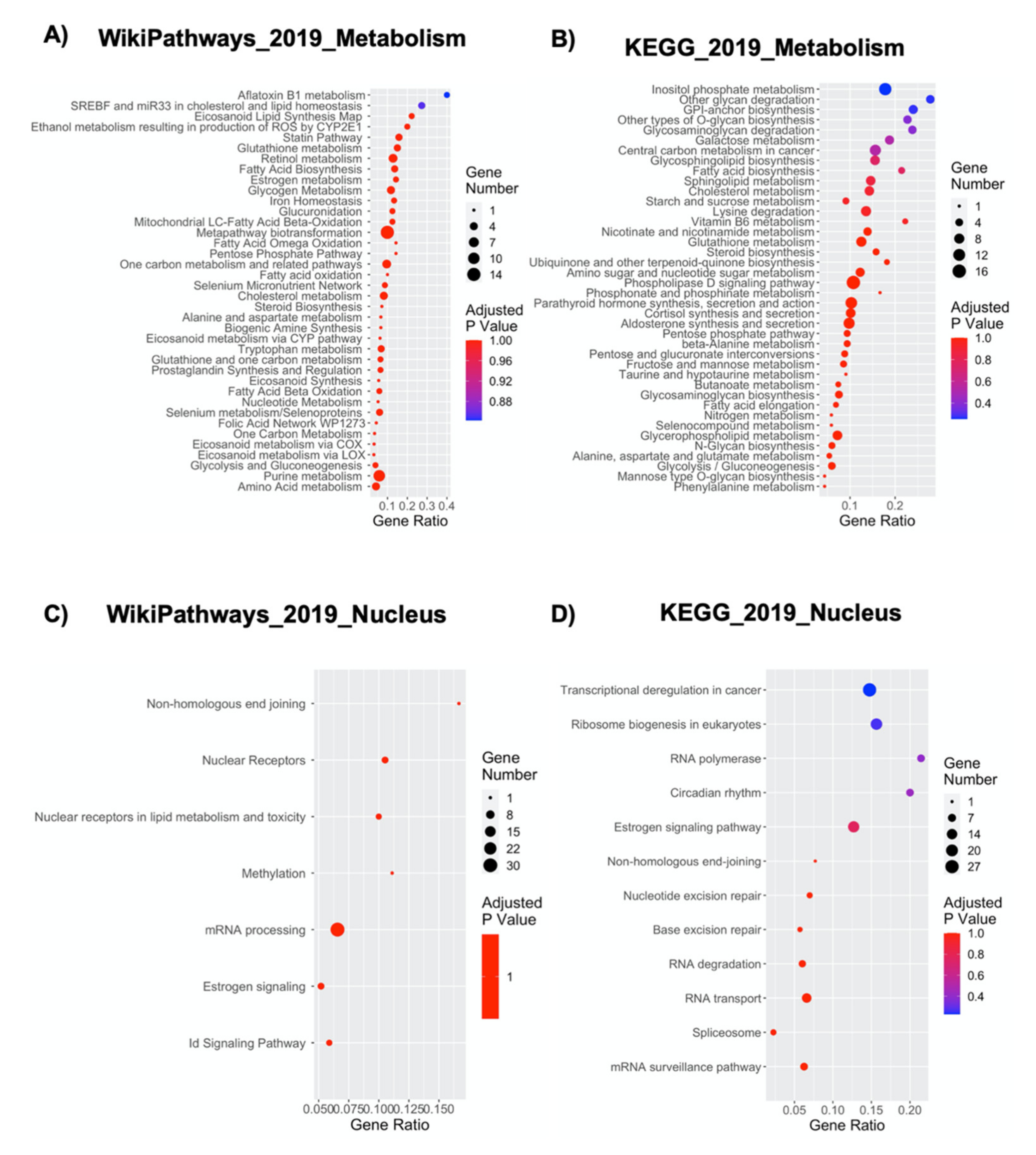 Ijms 21 06775 g005 Ijms 21 06775 g005