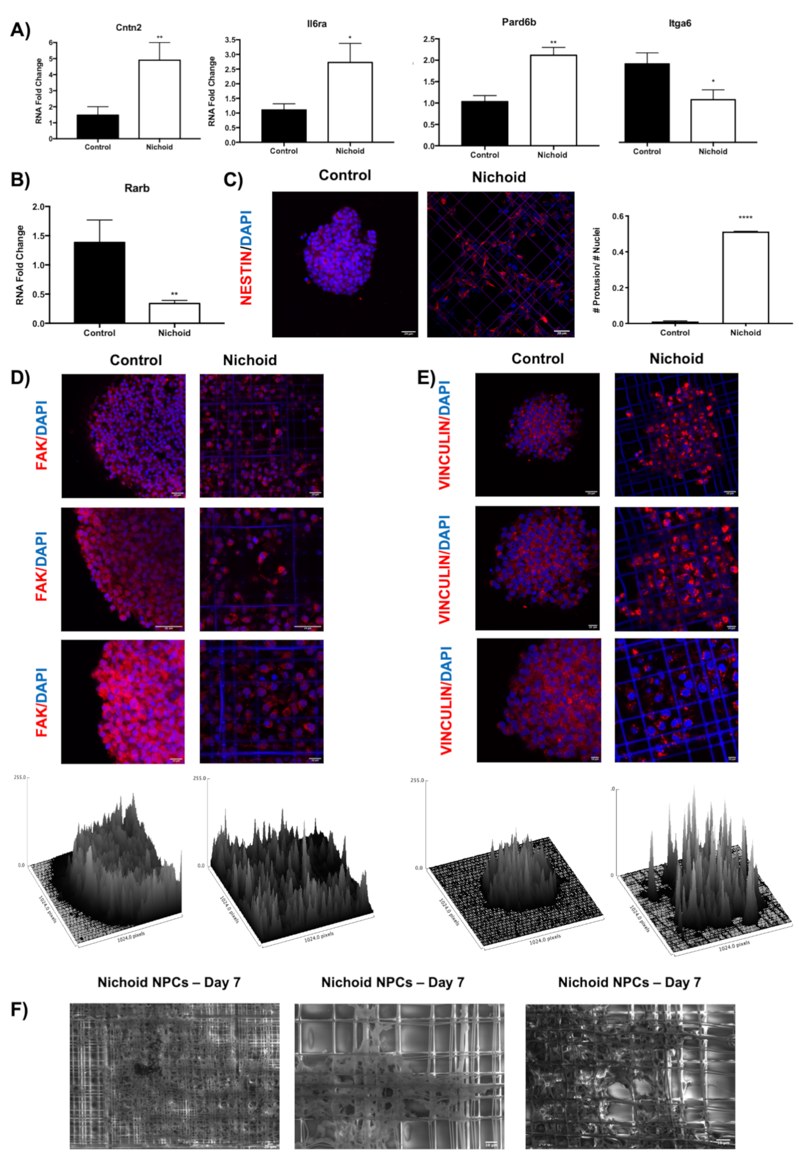 Ijms 21 06775 g006 Ijms 21 06775 g006