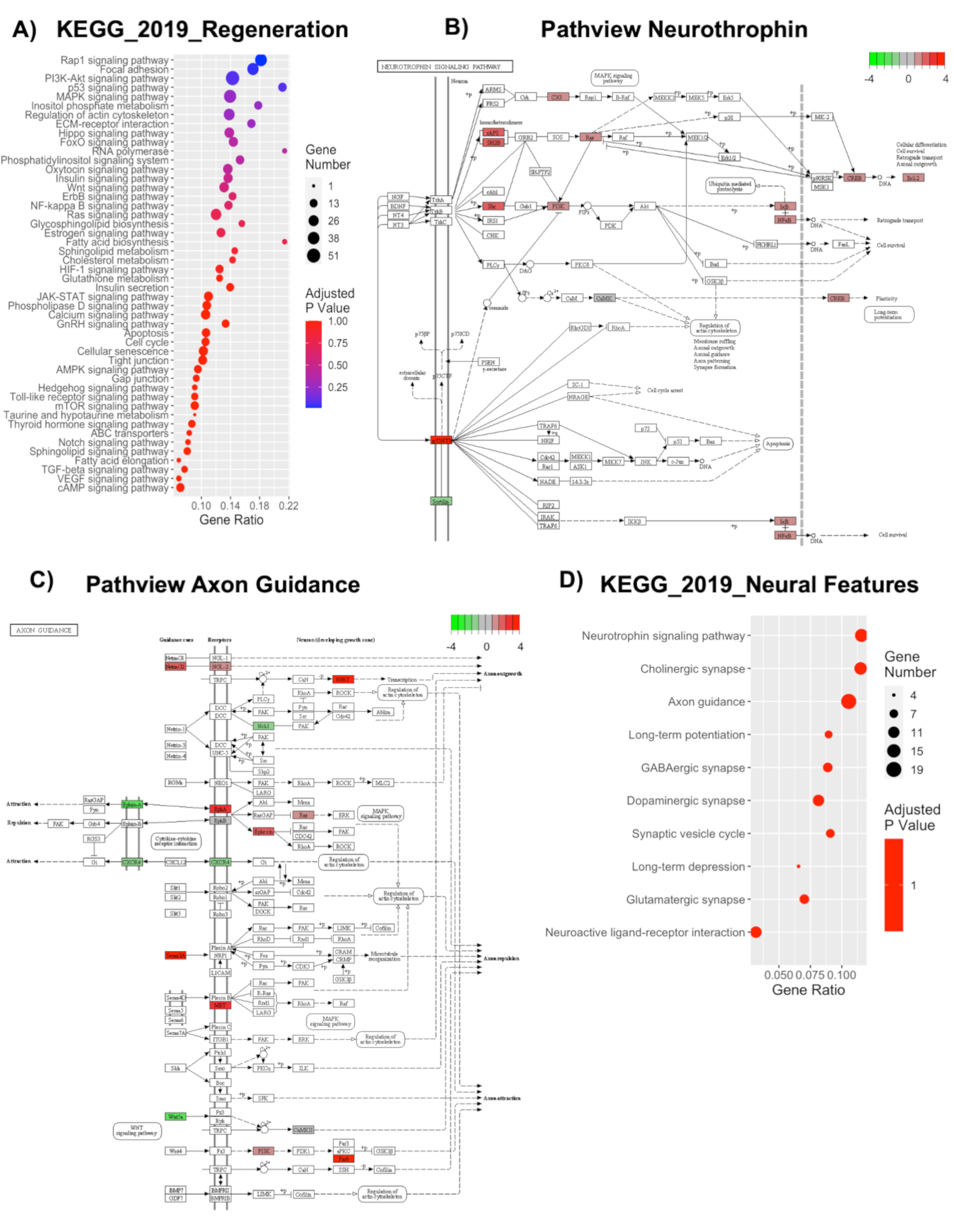 Ijms 21 06775 g007 Ijms 21 06775 g007
