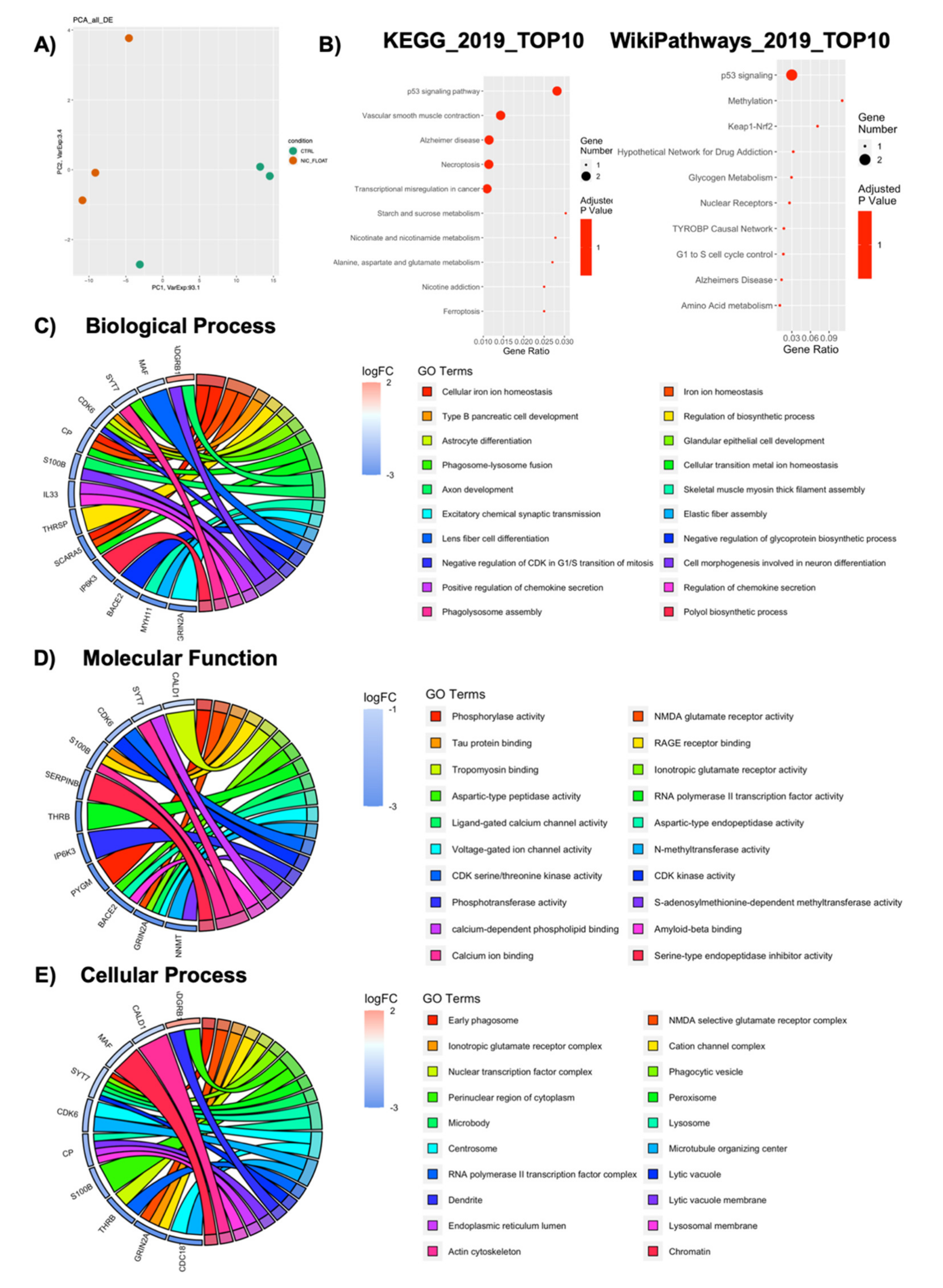 Ijms 21 06775 g009 Ijms 21 06775 g009