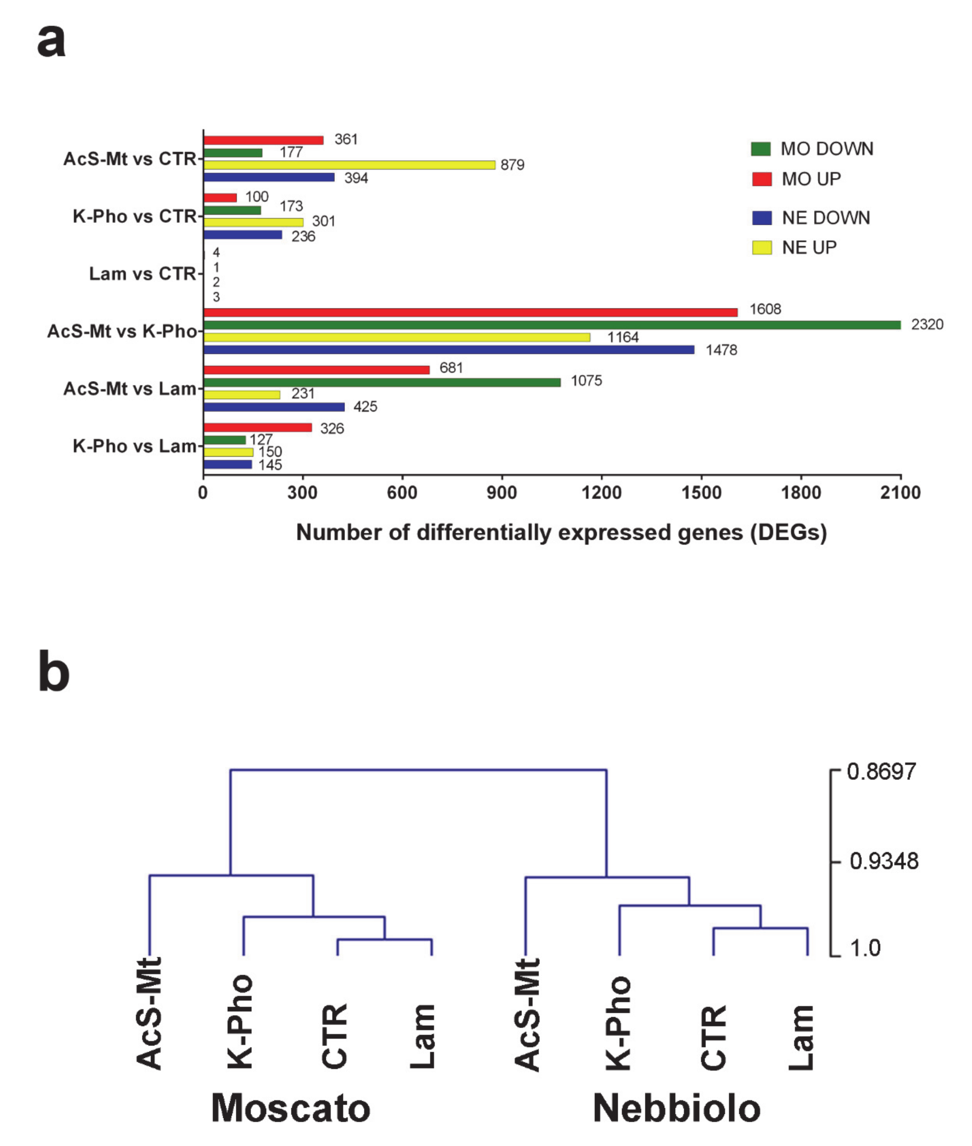 Ijms 21 06776 g001 Ijms 21 06776 g001