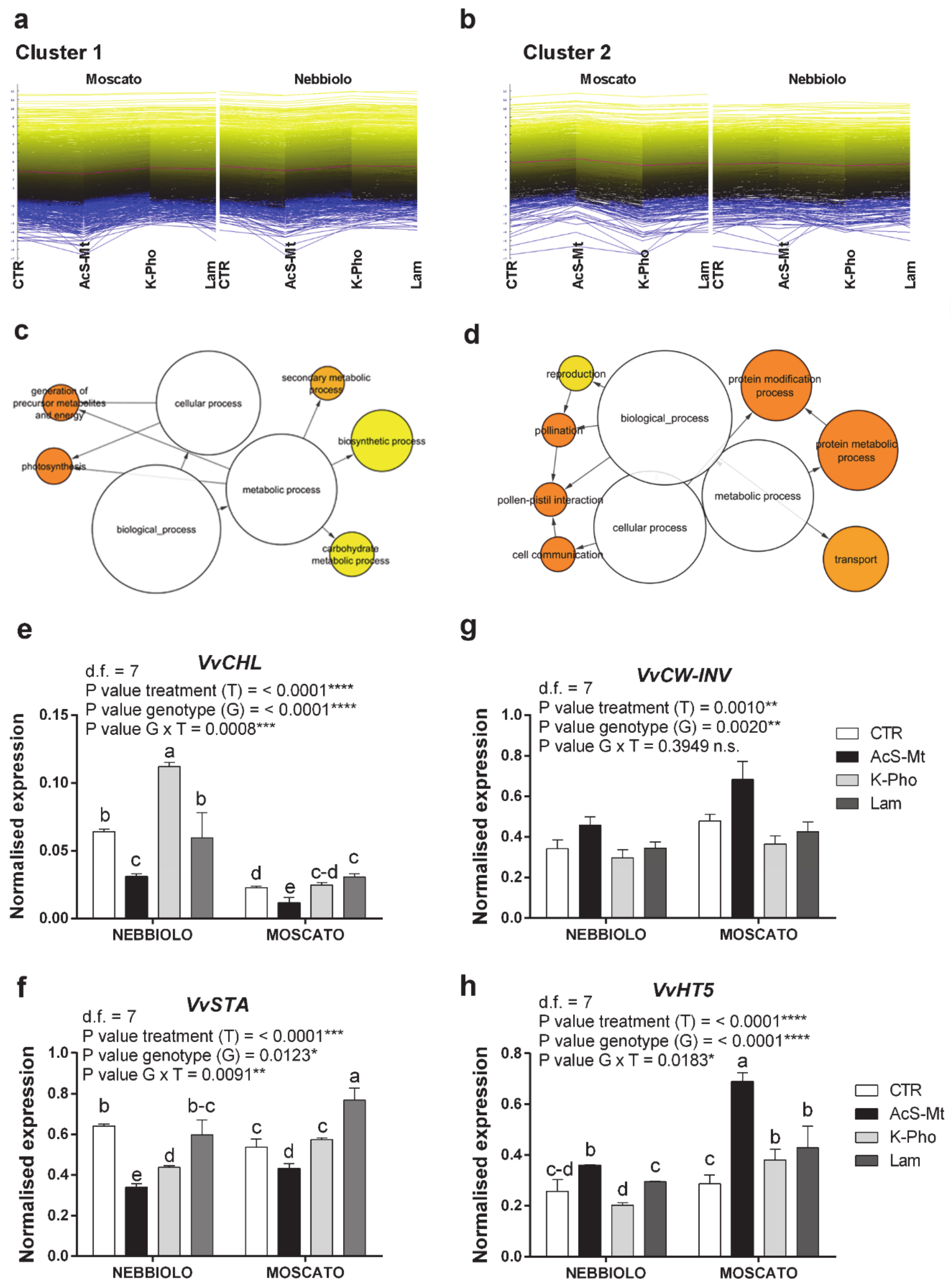 Ijms 21 06776 g002 Ijms 21 06776 g002