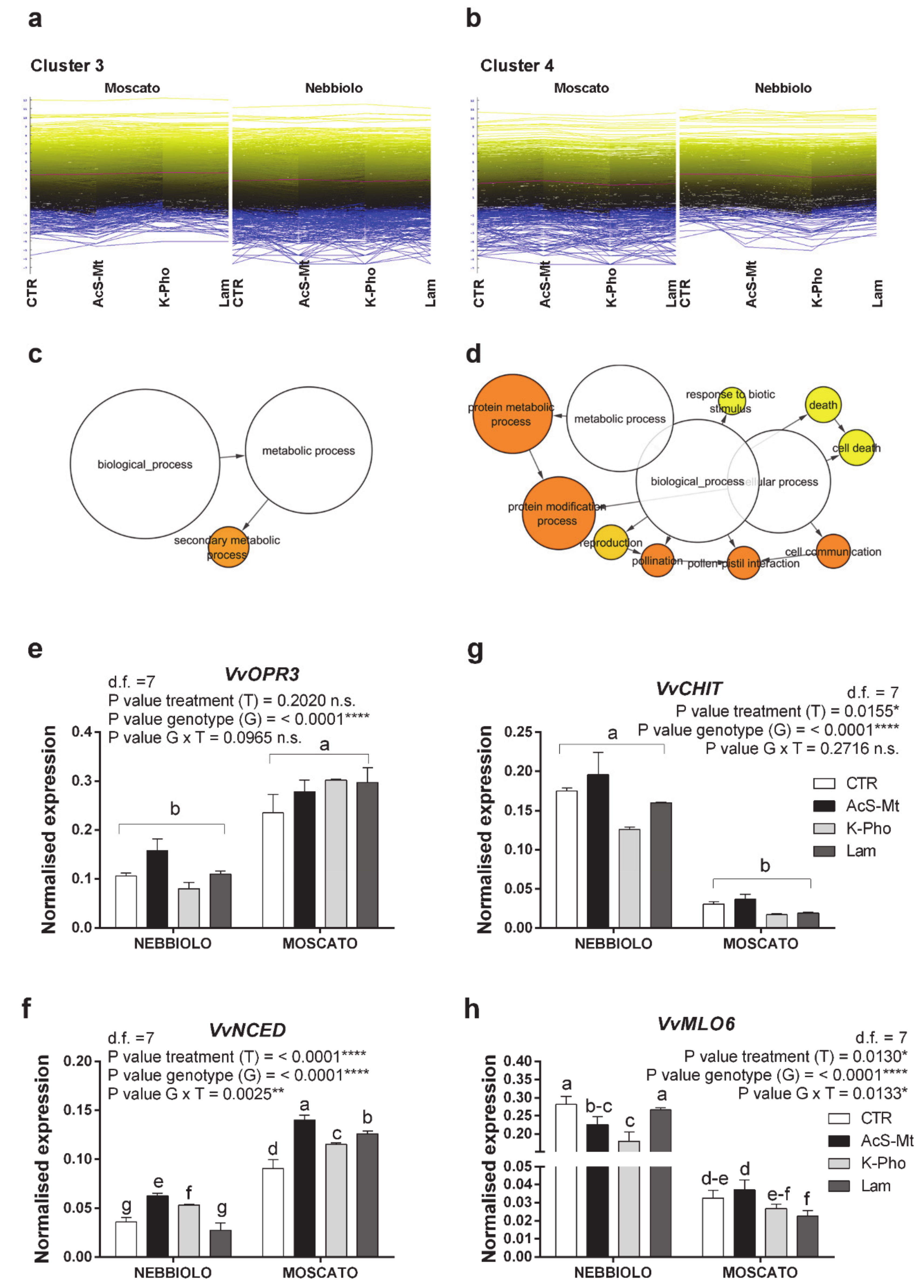 Ijms 21 06776 g003 Ijms 21 06776 g003